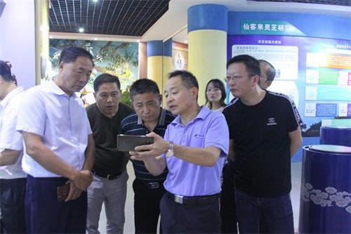 中國靈芝十大品牌|仙客來靈芝|仙客來靈芝破壁孢子粉|仙客來孢子油|仙客來靈芝飲片|仙客來破壁孢子粉|仙客來靈芝中藥飲片|馳名商標(biāo)|m.c243t.cn| 中國靈芝十大品牌|仙客來靈芝|仙客來靈芝破壁孢子粉|仙客來孢子油|仙客來靈芝飲片|仙客來破壁孢子粉|仙客來靈芝中藥飲片|馳名商標(biāo)|m.c243t.cn|