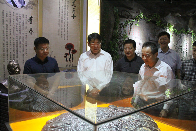 中國靈芝十大品牌|仙客來靈芝|仙客來靈芝破壁孢子粉|仙客來孢子油|仙客來靈芝飲片|仙客來破壁孢子粉|仙客來靈芝中藥飲片|馳名商標(biāo)|m.c243t.cn|