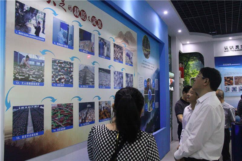 中國靈芝十大品牌|仙客來靈芝|仙客來靈芝破壁孢子粉|仙客來孢子油|仙客來靈芝飲片|仙客來破壁孢子粉|仙客來靈芝中藥飲片|馳名商標(biāo)|m.c243t.cn|