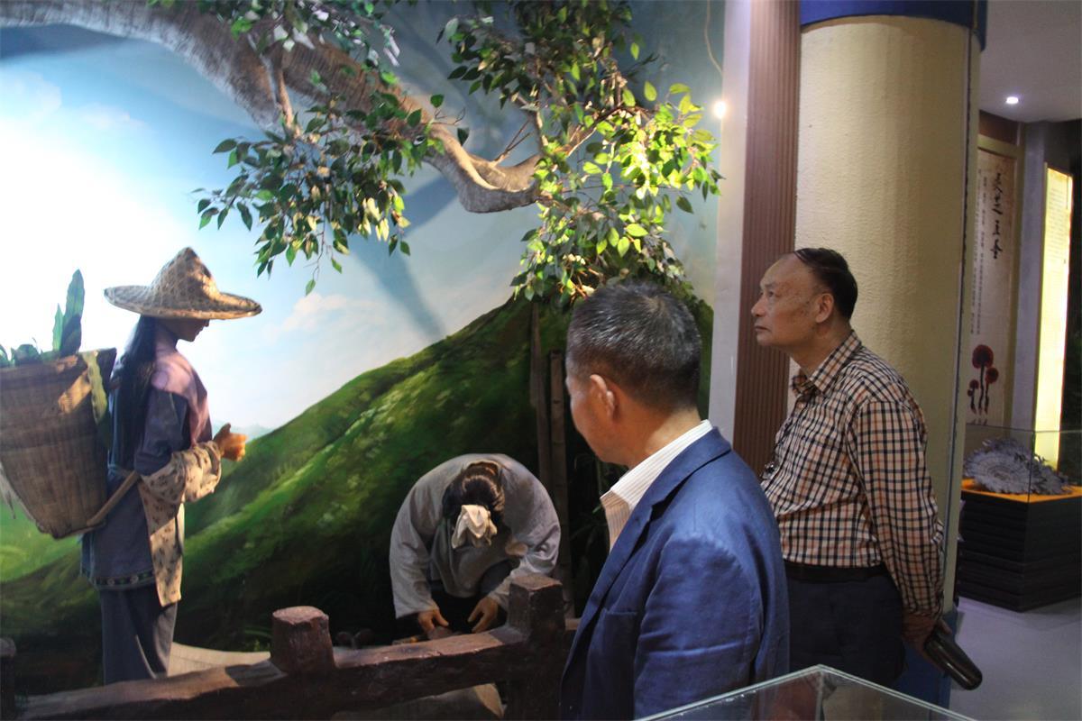 中國(guó)靈芝十大品牌|仙客來靈芝|仙客來靈芝破壁孢子粉|仙客來孢子油|仙客來靈芝飲片|仙客來破壁孢子粉|仙客來靈芝中藥飲片|馳名商標(biāo)|m.c243t.cn| 中國(guó)靈芝十大品牌|仙客來靈芝|仙客來靈芝破壁孢子粉|仙客來孢子油|仙客來靈芝飲片|仙客來破壁孢子粉|仙客來靈芝中藥飲片|馳名商標(biāo)|m.c243t.cn|