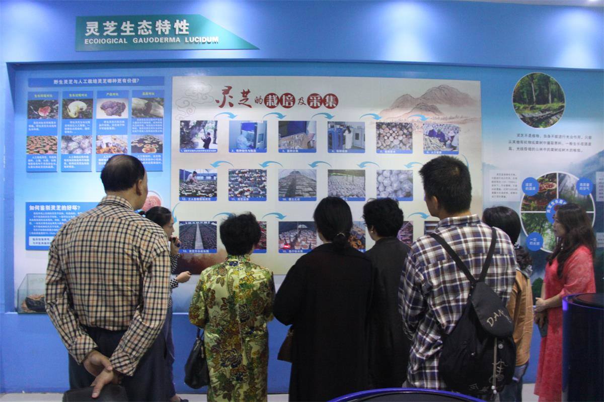 中國(guó)靈芝十大品牌|仙客來靈芝|仙客來靈芝破壁孢子粉|仙客來孢子油|仙客來靈芝飲片|仙客來破壁孢子粉|仙客來靈芝中藥飲片|馳名商標(biāo)|m.c243t.cn| 中國(guó)靈芝十大品牌|仙客來靈芝|仙客來靈芝破壁孢子粉|仙客來孢子油|仙客來靈芝飲片|仙客來破壁孢子粉|仙客來靈芝中藥飲片|馳名商標(biāo)|m.c243t.cn|