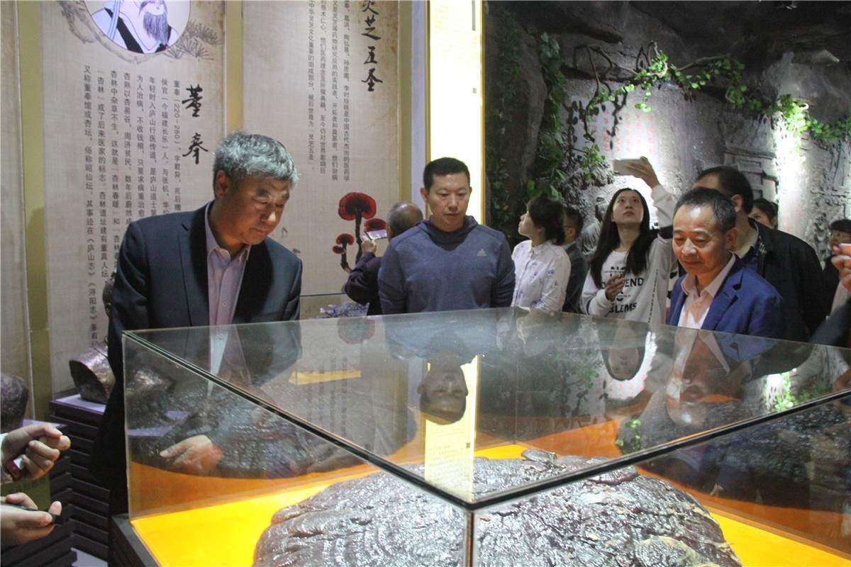 中國靈芝十大品牌|仙客來靈芝|仙客來靈芝破壁孢子粉|仙客來孢子油|仙客來靈芝飲片|仙客來破壁孢子粉|仙客來靈芝中藥飲片|馳名商標|m.c243t.cn|