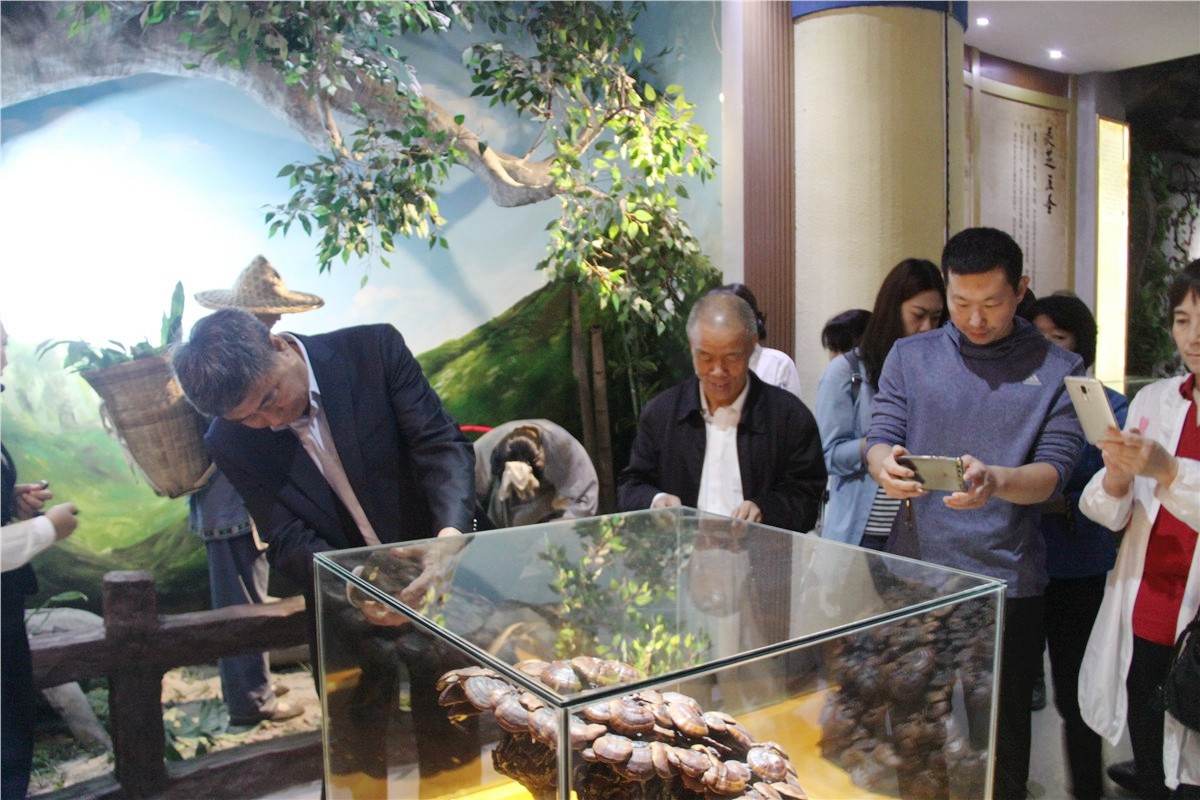 中國靈芝十大品牌|仙客來靈芝|仙客來靈芝破壁孢子粉|仙客來孢子油|仙客來靈芝飲片|仙客來破壁孢子粉|仙客來靈芝中藥飲片|馳名商標|m.c243t.cn|