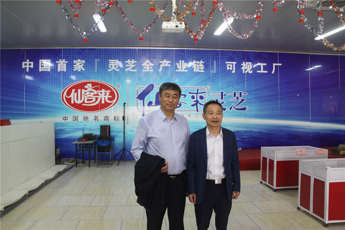 中國靈芝十大品牌|仙客來靈芝|仙客來靈芝破壁孢子粉|仙客來孢子油|仙客來靈芝飲片|仙客來破壁孢子粉|仙客來靈芝中藥飲片|馳名商標|m.c243t.cn|