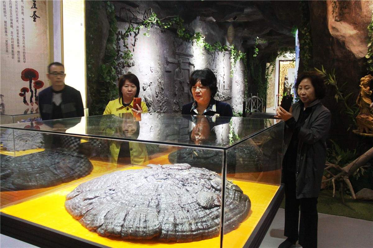 中國(guó)靈芝十大品牌|仙客來(lái)靈芝|仙客來(lái)靈芝破壁孢子粉|仙客來(lái)孢子油|仙客來(lái)靈芝飲片|仙客來(lái)破壁孢子粉|仙客來(lái)靈芝中藥飲片|馳名商標(biāo)|m.c243t.cn|