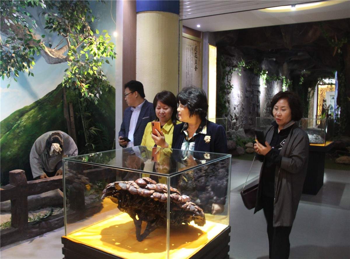 中國(guó)靈芝十大品牌|仙客來(lái)靈芝|仙客來(lái)靈芝破壁孢子粉|仙客來(lái)孢子油|仙客來(lái)靈芝飲片|仙客來(lái)破壁孢子粉|仙客來(lái)靈芝中藥飲片|馳名商標(biāo)|m.c243t.cn|