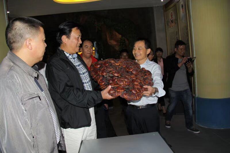 中國(guó)靈芝十大品牌|仙客來(lái)靈芝|仙客來(lái)靈芝破壁孢子粉|仙客來(lái)孢子油|仙客來(lái)靈芝飲片|仙客來(lái)破壁孢子粉|仙客來(lái)靈芝中藥飲片|馳名商標(biāo)|m.c243t.cn|