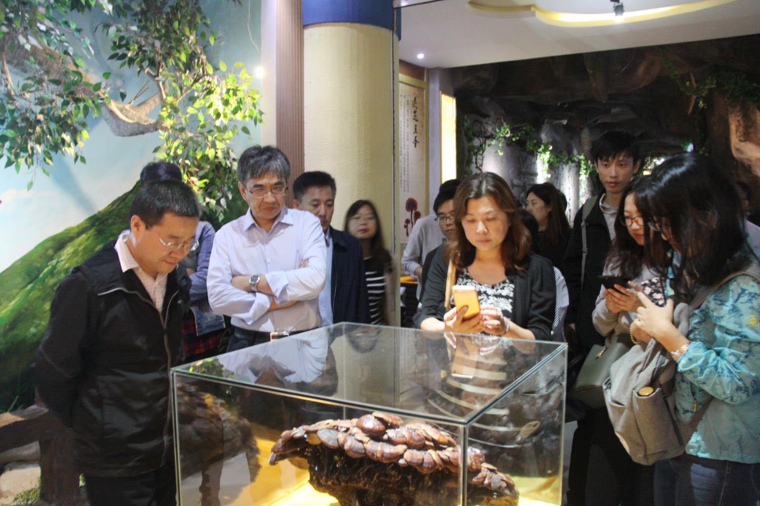 中國靈芝十大品牌|仙客來靈芝|仙客來靈芝破壁孢子粉|仙客來孢子油|仙客來靈芝飲片|仙客來破壁孢子粉|仙客來靈芝中藥飲片|馳名商標(biāo)|m.c243t.cn|