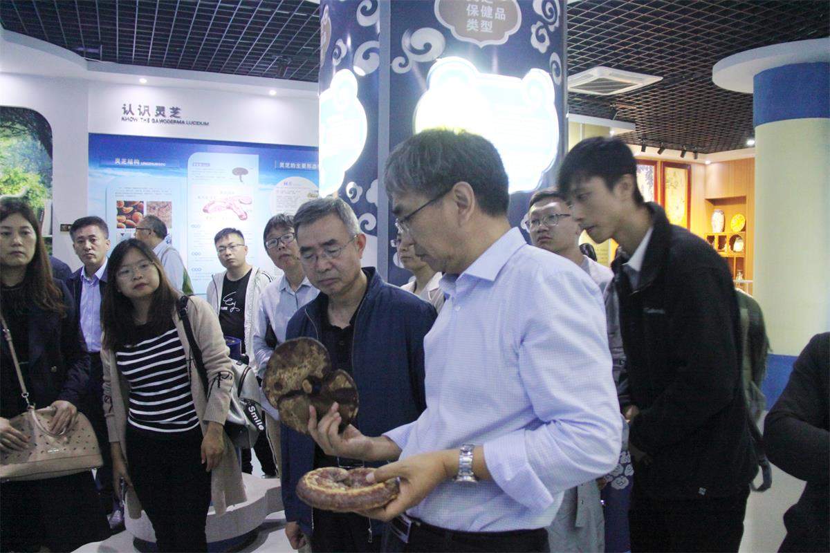 中國靈芝十大品牌|仙客來靈芝|仙客來靈芝破壁孢子粉|仙客來孢子油|仙客來靈芝飲片|仙客來破壁孢子粉|仙客來靈芝中藥飲片|馳名商標(biāo)|m.c243t.cn|