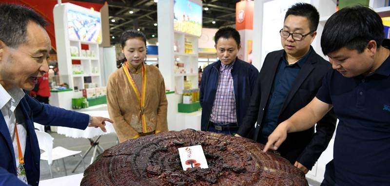 中國靈芝十大品牌|仙客來靈芝|仙客來靈芝破壁孢子粉|仙客來孢子油|仙客來靈芝飲片|仙客來破壁孢子粉|仙客來靈芝中藥飲片|馳名商標(biāo)|m.c243t.cn|