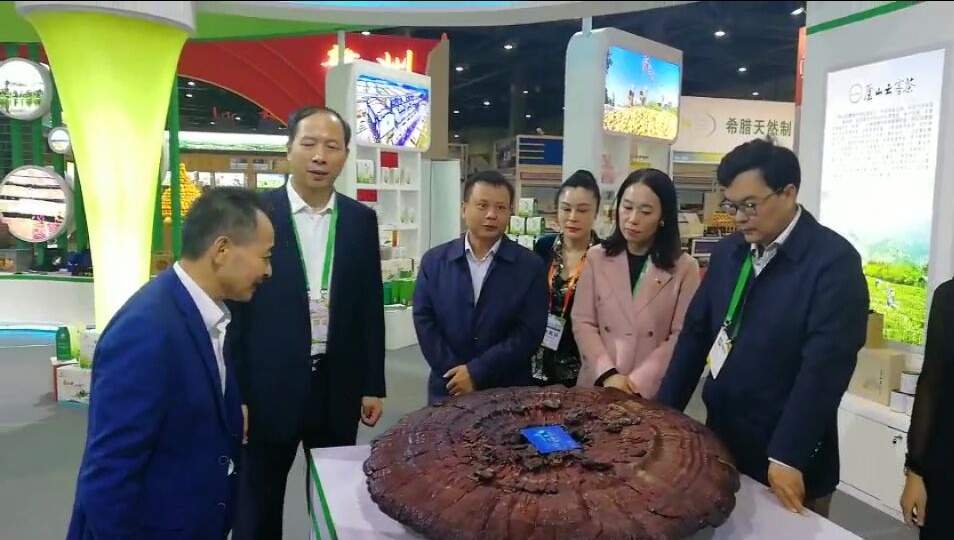 中國靈芝十大品牌|仙客來靈芝|仙客來靈芝破壁孢子粉|仙客來孢子油|仙客來靈芝飲片|仙客來破壁孢子粉|仙客來靈芝中藥飲片|馳名商標(biāo)|m.c243t.cn|