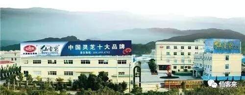 中國靈芝十大品牌|仙客來靈芝|仙客來靈芝破壁孢子粉|仙客來孢子油|仙客來靈芝飲片|仙客來破壁孢子粉|仙客來靈芝中藥飲片|馳名商標|m.c243t.cn|