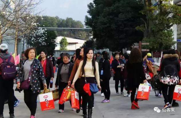中國靈芝十大品牌|仙客來靈芝|仙客來靈芝破壁孢子粉|仙客來孢子油|仙客來靈芝飲片|仙客來破壁孢子粉|仙客來靈芝中藥飲片|馳名商標|m.c243t.cn|