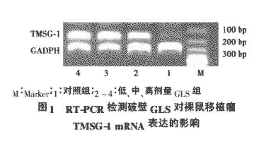 1588922256480279.png 8N1EOU0(8[P7[B[(`BA74OS.png