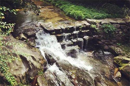 1590115293730145.jpg 2275B233DAA312EAD780009F06E8D46D_看圖王.jpg