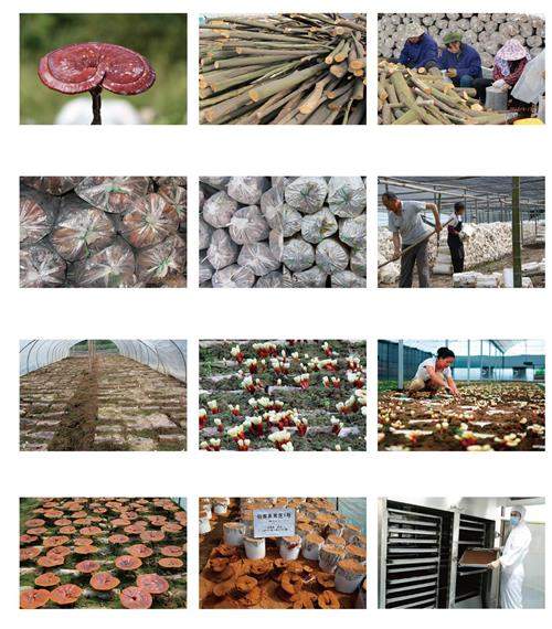 1590804912562067.jpg 2015140882_11284803215_未標(biāo)題-2-01_看圖王.jpg