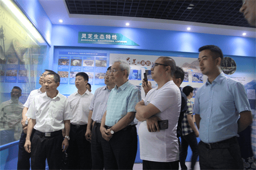 杭州亞運會官方靈芝產(chǎn)品供應商|杭州亞運會官方供應商|中國靈芝十大品牌|仙客來靈芝|仙客來靈芝破壁孢子粉|仙客來孢子油|仙客來靈芝飲片|仙客來破壁孢子粉|靈芝孢子油|孢子粉|靈芝破壁孢子粉|靈芝|中華老字號