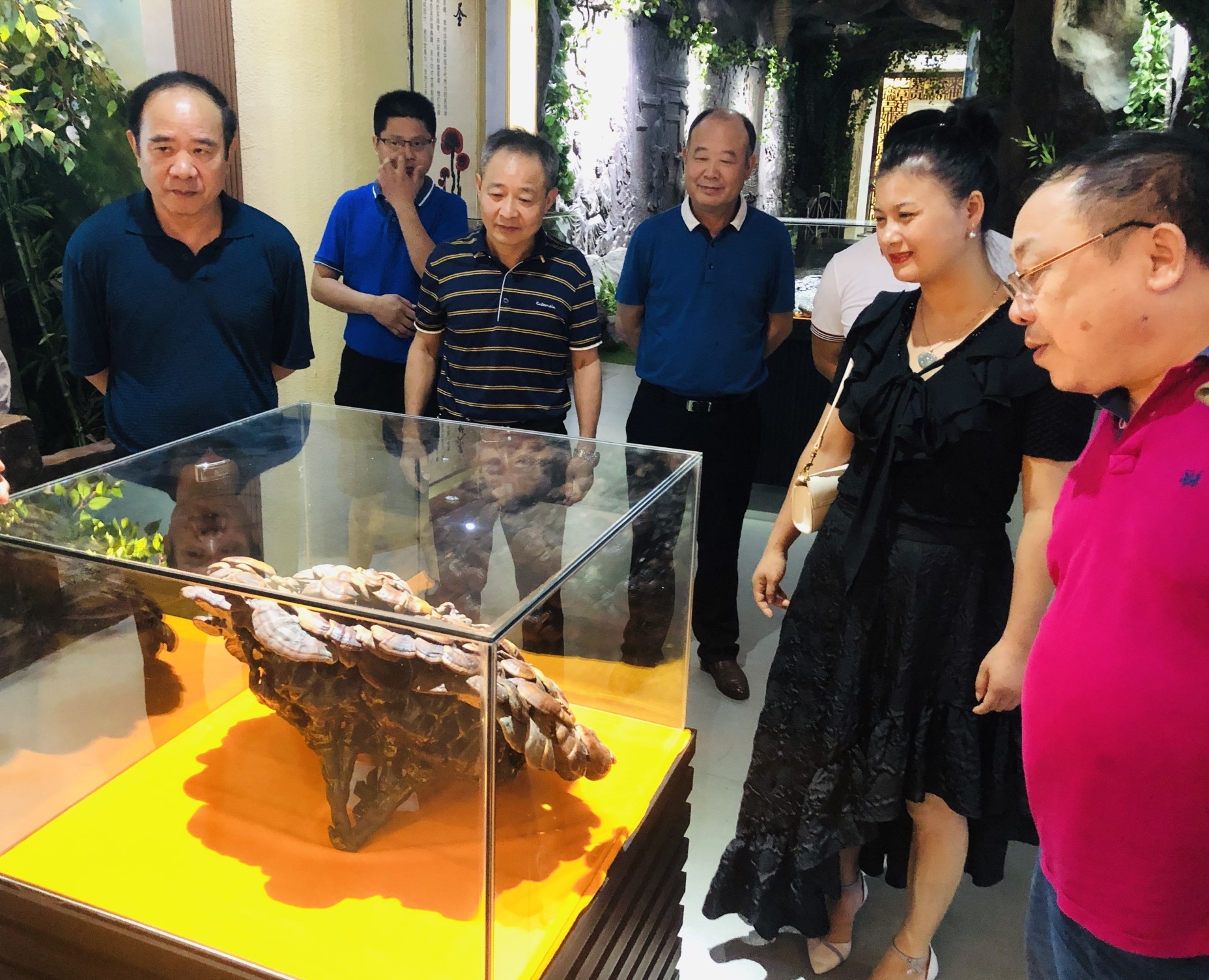 杭州亞運(yùn)會(huì)官方靈芝產(chǎn)品供應(yīng)商|杭州亞運(yùn)會(huì)官方供應(yīng)商|中國(guó)靈芝十大品牌|仙客來(lái)靈芝|仙客來(lái)靈芝破壁孢子粉|仙客來(lái)孢子油|仙客來(lái)靈芝飲片|仙客來(lái)破壁孢子粉|靈芝孢子油|孢子粉|靈芝破壁孢子粉|靈芝|中華老字號(hào)