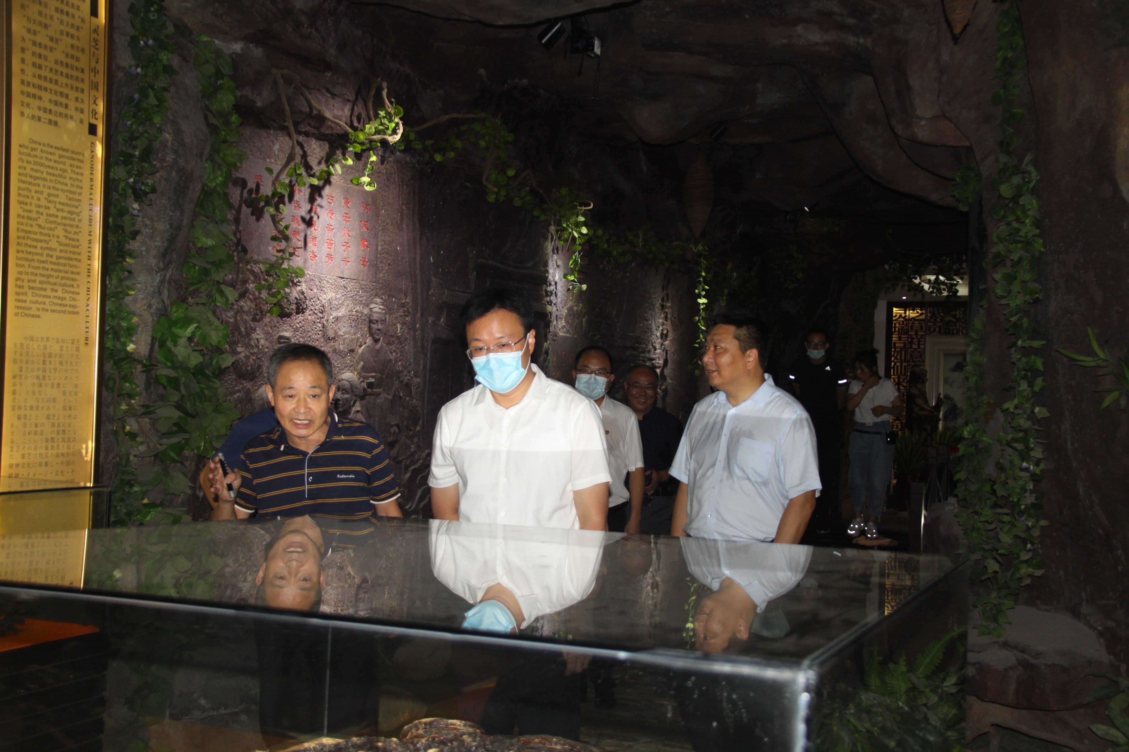 杭州亞運(yùn)會官方靈芝產(chǎn)品供應(yīng)商|杭州亞運(yùn)會官方供應(yīng)商|中國靈芝十大品牌|仙客來靈芝|仙客來靈芝破壁孢子粉|仙客來孢子油|仙客來靈芝飲片|仙客來破壁孢子粉|靈芝孢子油|孢子粉|靈芝破壁孢子粉|靈芝|中華老字號 杭州亞運(yùn)會官方靈芝產(chǎn)品供應(yīng)商|杭州亞運(yùn)會官方供應(yīng)商|中國靈芝十大品牌|仙客來靈芝|仙客來靈芝破壁孢子粉|仙客來孢子油|仙客來靈芝飲片|仙客來破壁孢子粉|靈芝孢子油|孢子粉|靈芝破壁孢子粉|靈芝|中華老字號