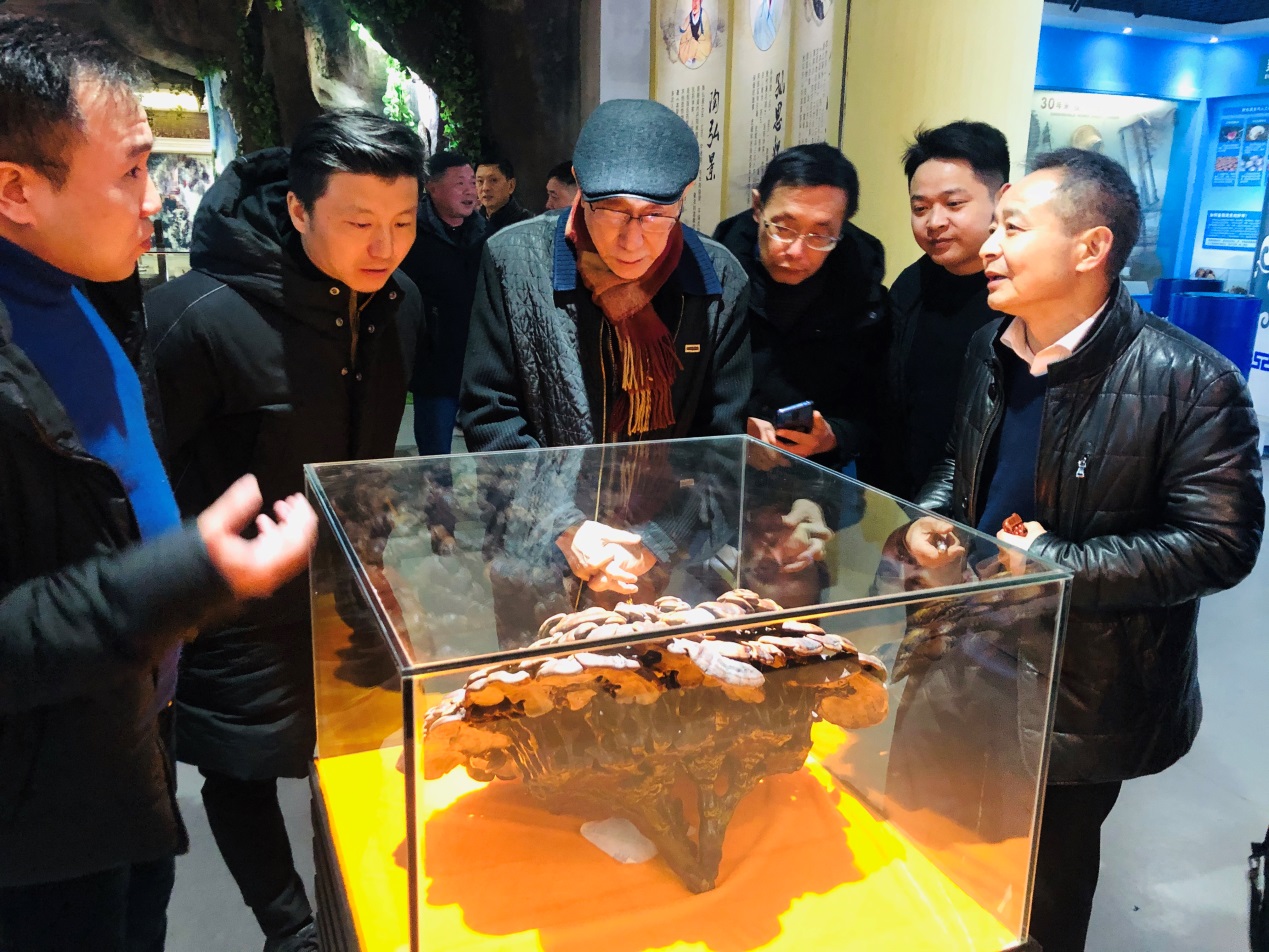 杭州亞運會官方靈芝產(chǎn)品供應(yīng)商|杭州亞運會官方供應(yīng)商|中國靈芝十大品牌|仙客來靈芝|仙客來靈芝破壁孢子粉|仙客來孢子油|仙客來靈芝飲片|仙客來破壁孢子粉|靈芝孢子油|孢子粉|靈芝破壁孢子粉|靈芝|中華老字號