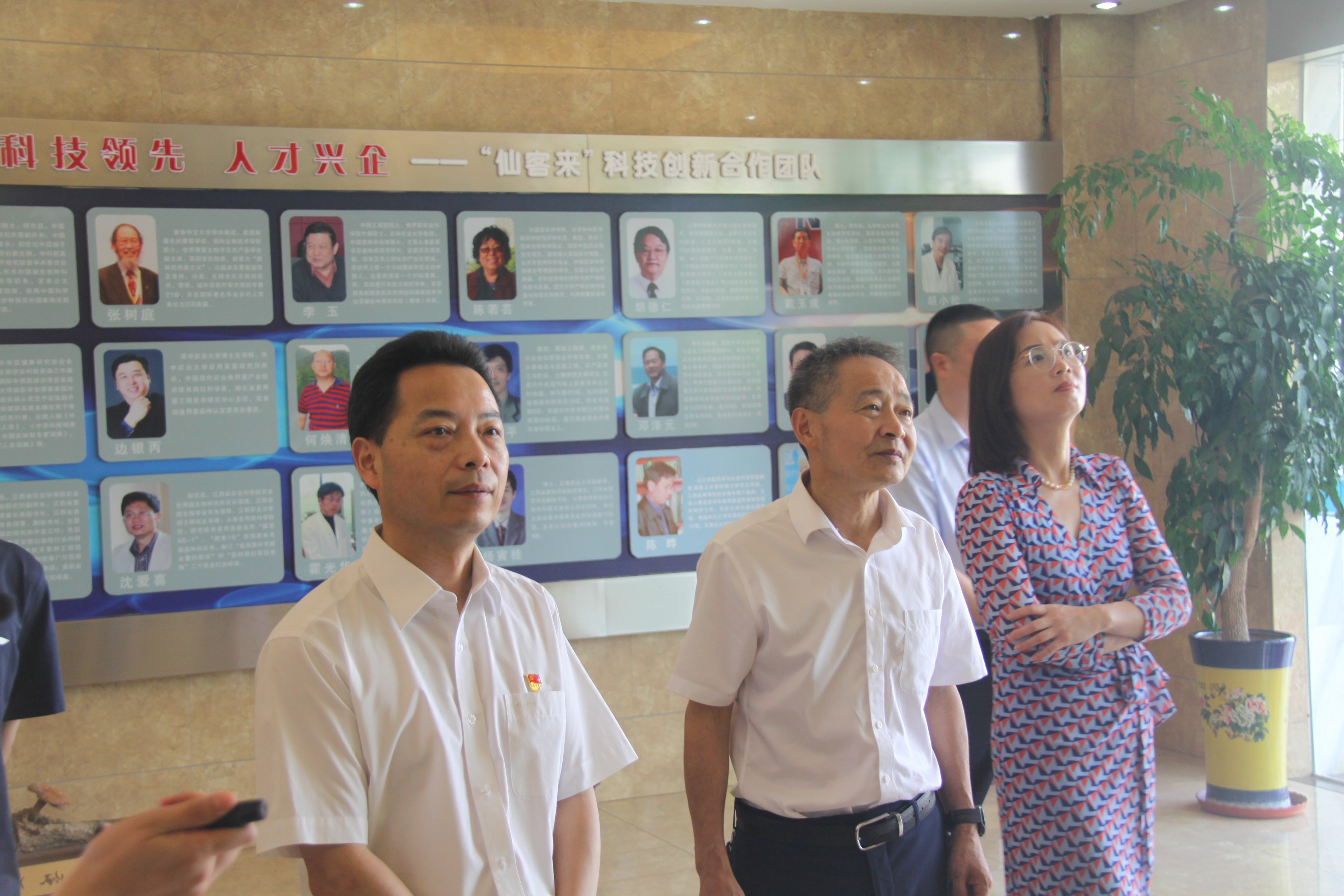 杭州亞運會官方靈芝產(chǎn)品供應(yīng)商|杭州亞運會官方供應(yīng)商|中國靈芝十大品牌|仙客來靈芝|仙客來靈芝破壁孢子粉|仙客來孢子油|仙客來靈芝飲片|仙客來破壁孢子粉|靈芝孢子油|孢子粉|靈芝破壁孢子粉|靈芝|中華老字號 杭州亞運會官方靈芝產(chǎn)品供應(yīng)商|杭州亞運會官方供應(yīng)商|中國靈芝十大品牌|仙客來靈芝|仙客來靈芝破壁孢子粉|仙客來孢子油|仙客來靈芝飲片|仙客來破壁孢子粉|靈芝孢子油|孢子粉|靈芝破壁孢子粉|靈芝|中華老字號