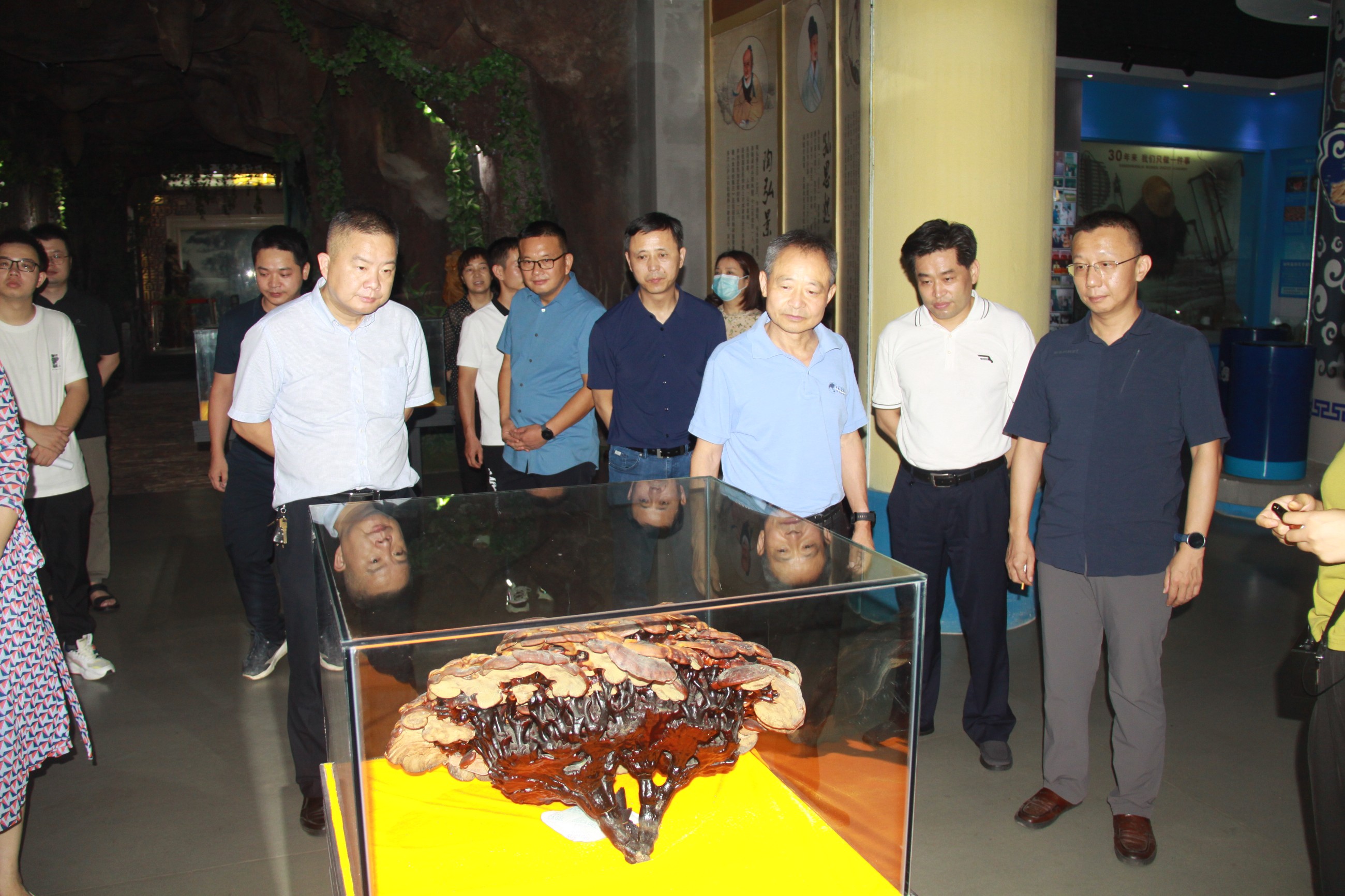 杭州亞運會官方靈芝產(chǎn)品供應(yīng)商|杭州亞運會官方供應(yīng)商|中國靈芝十大品牌|仙客來靈芝|仙客來靈芝破壁孢子粉|仙客來孢子油|仙客來靈芝飲片|仙客來破壁孢子粉|靈芝孢子油|孢子粉|靈芝破壁孢子粉|靈芝|中華老字號 杭州亞運會官方靈芝產(chǎn)品供應(yīng)商|杭州亞運會官方供應(yīng)商|中國靈芝十大品牌|仙客來靈芝|仙客來靈芝破壁孢子粉|仙客來孢子油|仙客來靈芝飲片|仙客來破壁孢子粉|靈芝孢子油|孢子粉|靈芝破壁孢子粉|靈芝|中華老字號