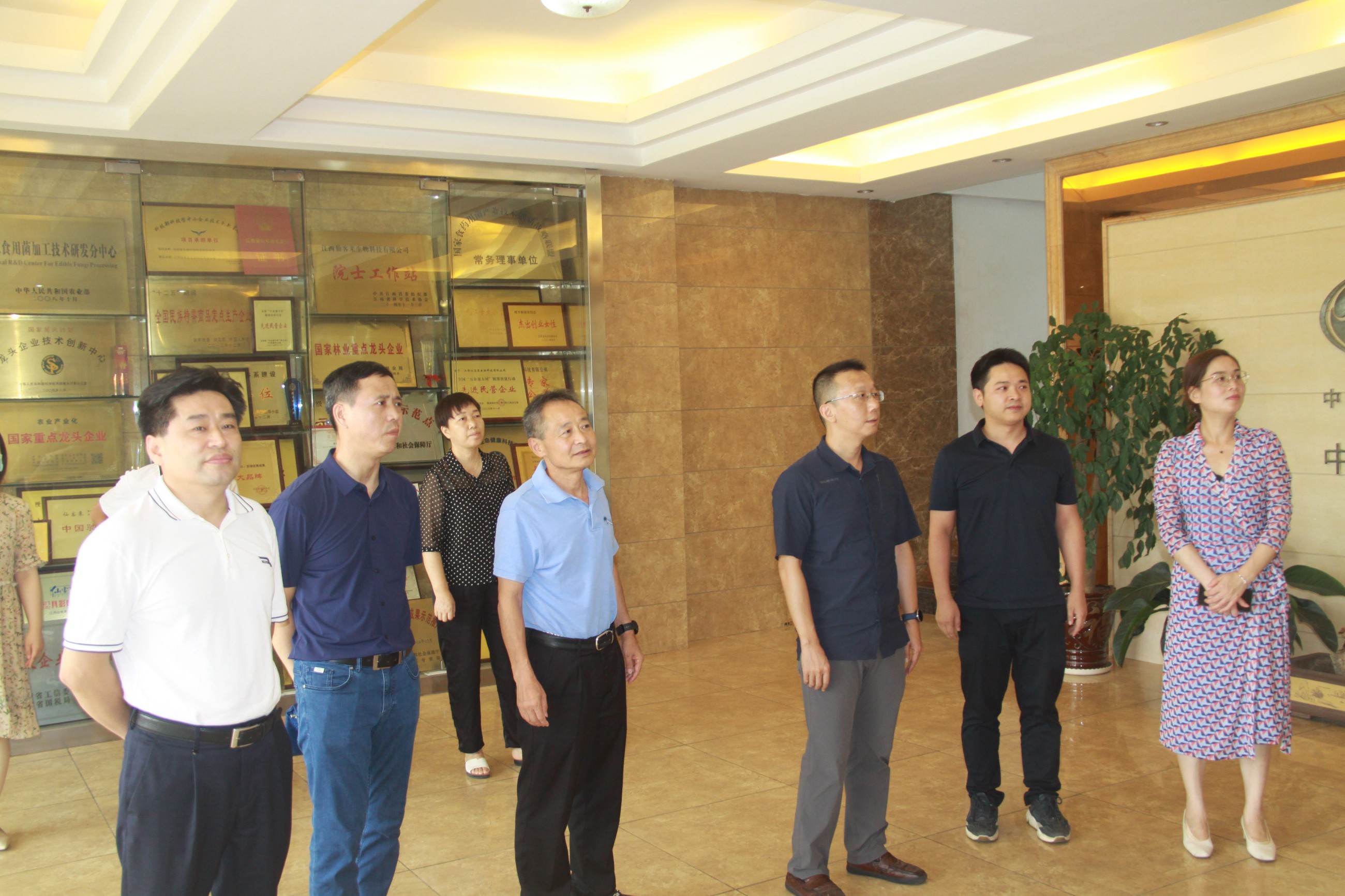 杭州亞運會官方靈芝產(chǎn)品供應(yīng)商|杭州亞運會官方供應(yīng)商|中國靈芝十大品牌|仙客來靈芝|仙客來靈芝破壁孢子粉|仙客來孢子油|仙客來靈芝飲片|仙客來破壁孢子粉|靈芝孢子油|孢子粉|靈芝破壁孢子粉|靈芝|中華老字號 杭州亞運會官方靈芝產(chǎn)品供應(yīng)商|杭州亞運會官方供應(yīng)商|中國靈芝十大品牌|仙客來靈芝|仙客來靈芝破壁孢子粉|仙客來孢子油|仙客來靈芝飲片|仙客來破壁孢子粉|靈芝孢子油|孢子粉|靈芝破壁孢子粉|靈芝|中華老字號