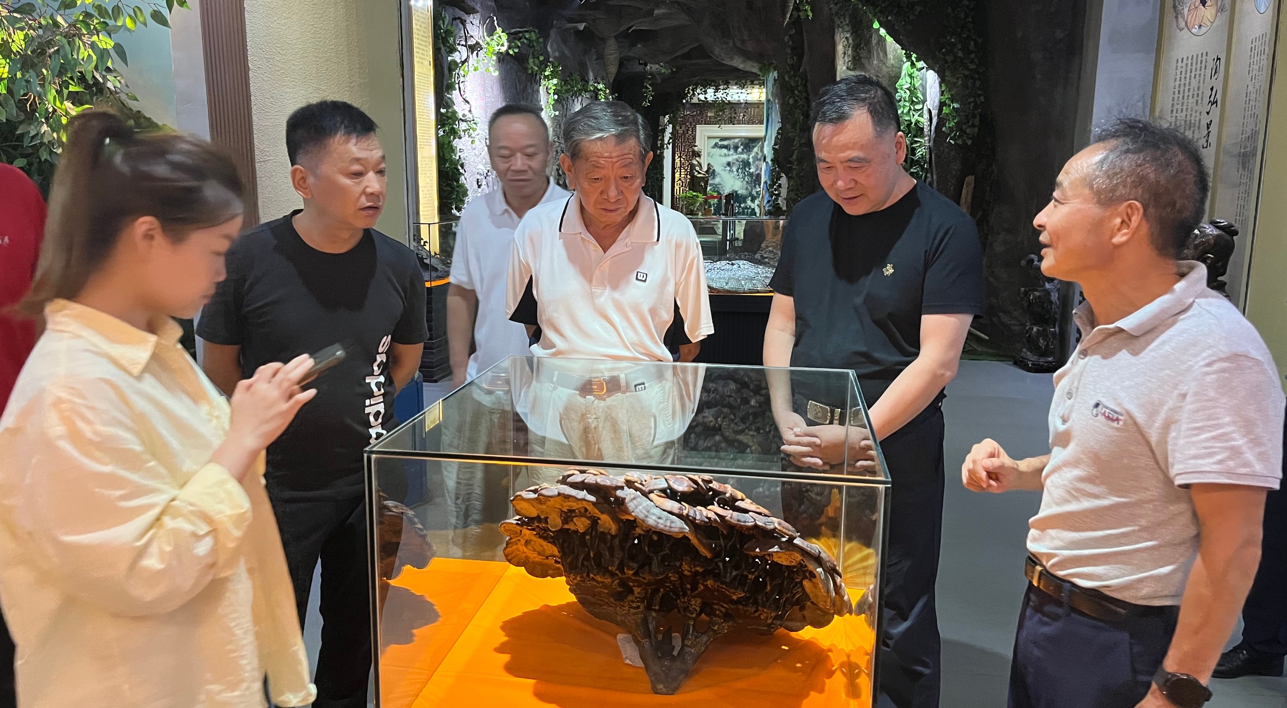 杭州亞運會官方靈芝產(chǎn)品供應商|杭州亞運會官方供應商|中國靈芝十大品牌|仙客來靈芝|仙客來靈芝破壁孢子粉|仙客來孢子油|仙客來靈芝飲片|仙客來破壁孢子粉|靈芝孢子油|孢子粉|靈芝破壁孢子粉|靈芝|中華老字號 杭州亞運會官方靈芝產(chǎn)品供應商|杭州亞運會官方供應商|中國靈芝十大品牌|仙客來靈芝|仙客來靈芝破壁孢子粉|仙客來孢子油|仙客來靈芝飲片|仙客來破壁孢子粉|靈芝孢子油|孢子粉|靈芝破壁孢子粉|靈芝|中華老字號