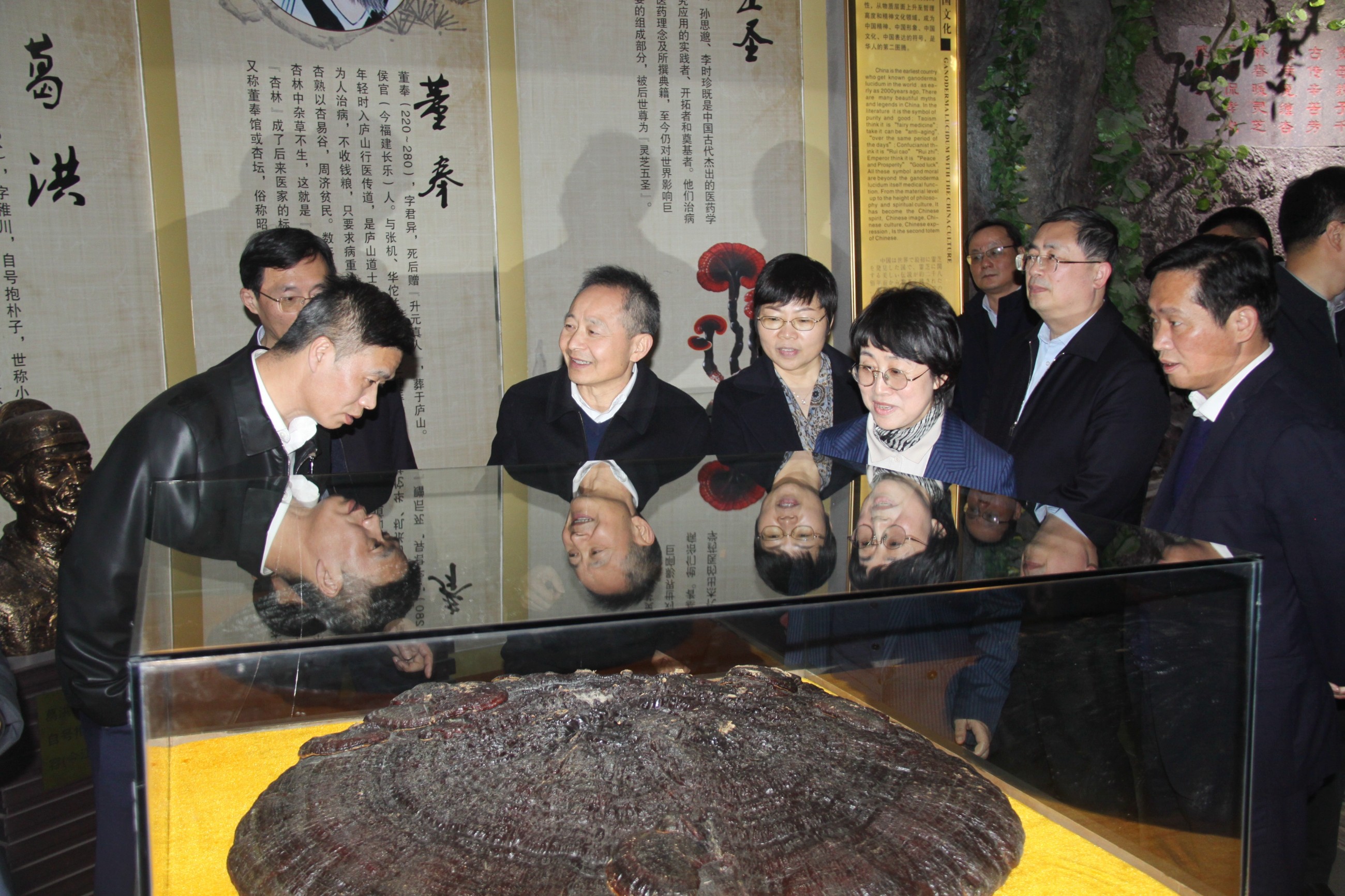 杭州亞運(yùn)會官方靈芝產(chǎn)品供應(yīng)商|杭州亞運(yùn)會官方供應(yīng)商|中國靈芝十大品牌|仙客來靈芝|仙客來靈芝破壁孢子粉|仙客來孢子油|仙客來靈芝飲片|仙客來破壁孢子粉|靈芝孢子油|孢子粉|靈芝破壁孢子粉|靈芝|中華老字號 杭州亞運(yùn)會官方靈芝產(chǎn)品供應(yīng)商|杭州亞運(yùn)會官方供應(yīng)商|中國靈芝十大品牌|仙客來靈芝|仙客來靈芝破壁孢子粉|仙客來孢子油|仙客來靈芝飲片|仙客來破壁孢子粉|靈芝孢子油|孢子粉|靈芝破壁孢子粉|靈芝|中華老字號