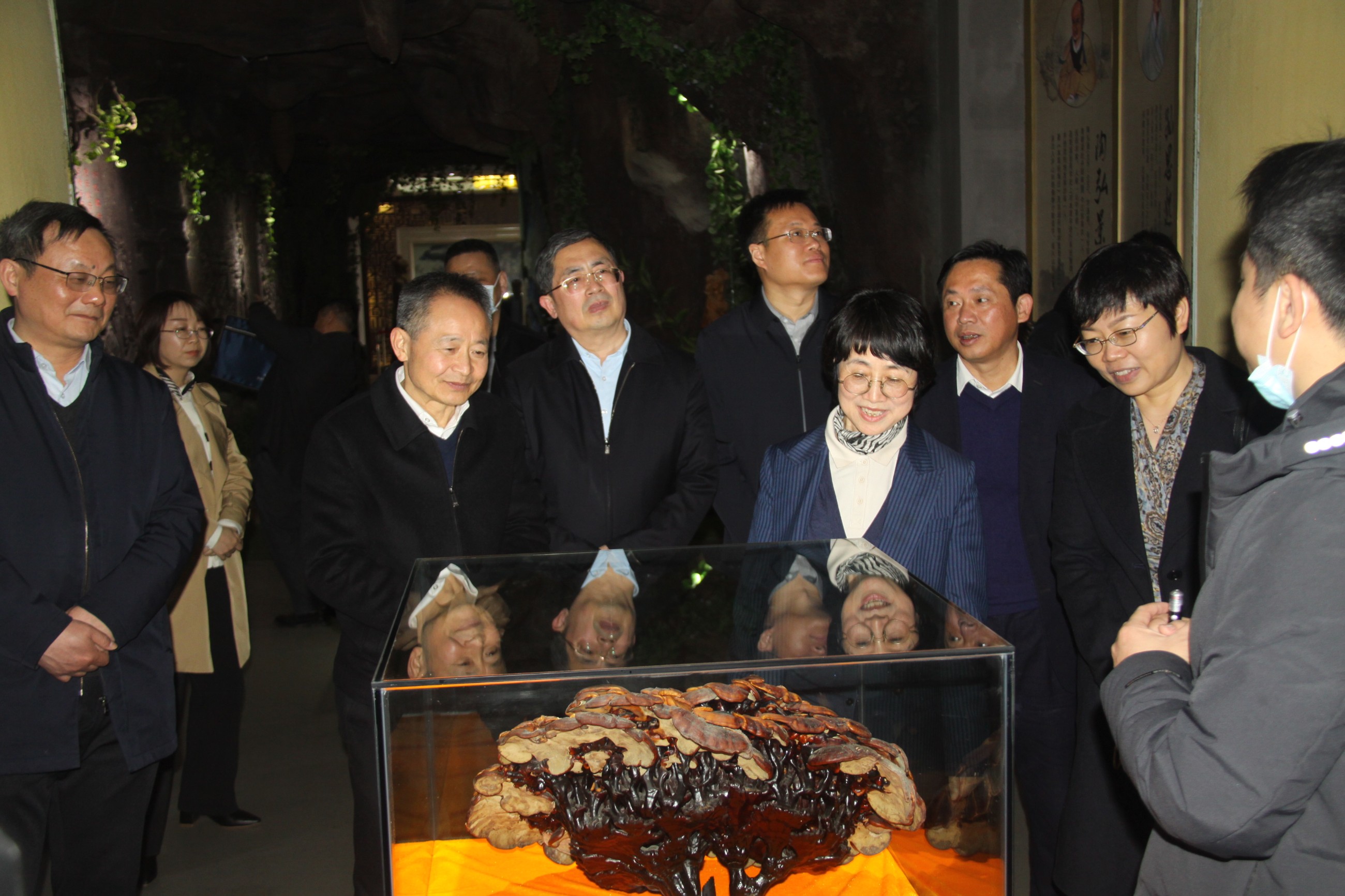 杭州亞運(yùn)會官方靈芝產(chǎn)品供應(yīng)商|杭州亞運(yùn)會官方供應(yīng)商|中國靈芝十大品牌|仙客來靈芝|仙客來靈芝破壁孢子粉|仙客來孢子油|仙客來靈芝飲片|仙客來破壁孢子粉|靈芝孢子油|孢子粉|靈芝破壁孢子粉|靈芝|中華老字號 杭州亞運(yùn)會官方靈芝產(chǎn)品供應(yīng)商|杭州亞運(yùn)會官方供應(yīng)商|中國靈芝十大品牌|仙客來靈芝|仙客來靈芝破壁孢子粉|仙客來孢子油|仙客來靈芝飲片|仙客來破壁孢子粉|靈芝孢子油|孢子粉|靈芝破壁孢子粉|靈芝|中華老字號