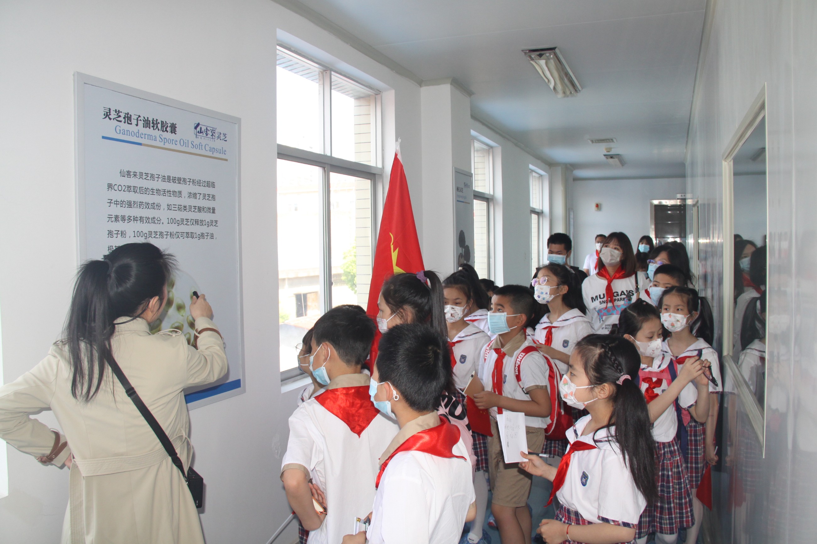 杭州亞運(yùn)會官方靈芝產(chǎn)品供應(yīng)商|杭州亞運(yùn)會官方供應(yīng)商|中國靈芝十大品牌|仙客來靈芝|仙客來靈芝破壁孢子粉|仙客來孢子油|仙客來靈芝飲片|仙客來破壁孢子粉|靈芝孢子油|孢子粉|靈芝破壁孢子粉|靈芝|中華老字號