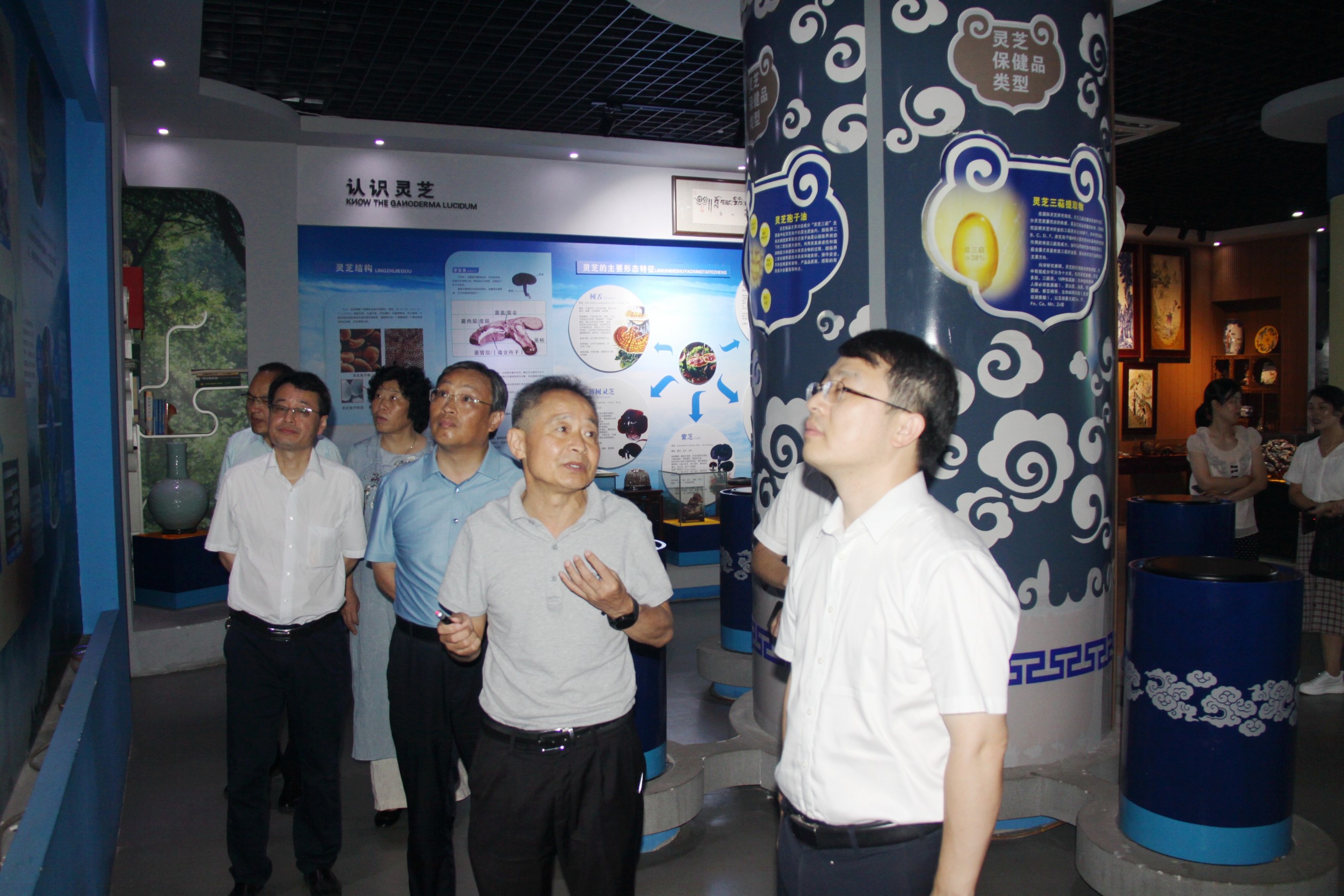 杭州亞運會官方靈芝產(chǎn)品供應商|杭州亞運會官方供應商|中國靈芝十大品牌|仙客來靈芝|仙客來靈芝破壁孢子粉|仙客來孢子油|仙客來靈芝飲片|仙客來破壁孢子粉|靈芝孢子油|孢子粉|靈芝破壁孢子粉|靈芝|中華老字號 杭州亞運會官方靈芝產(chǎn)品供應商|杭州亞運會官方供應商|中國靈芝十大品牌|仙客來靈芝|仙客來靈芝破壁孢子粉|仙客來孢子油|仙客來靈芝飲片|仙客來破壁孢子粉|靈芝孢子油|孢子粉|靈芝破壁孢子粉|靈芝|中華老字號