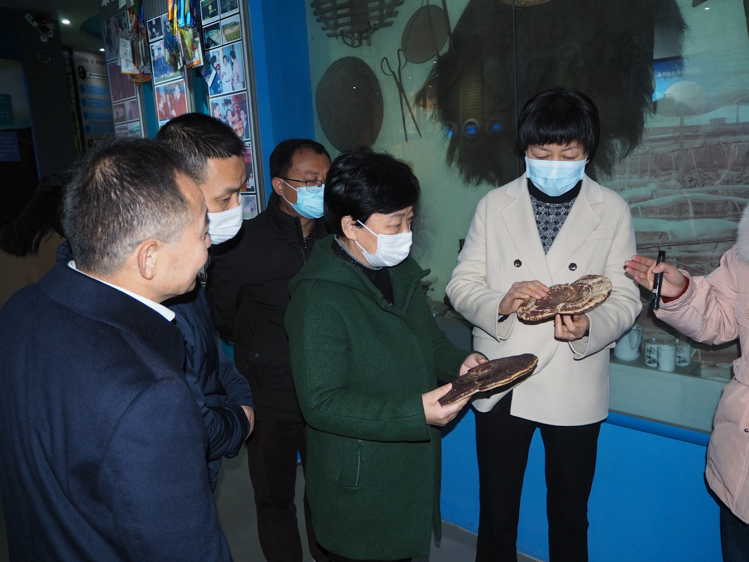 杭州亞運會官方靈芝產(chǎn)品供應(yīng)商|杭州亞運會官方供應(yīng)商|中國靈芝十大品牌|仙客來靈芝|仙客來靈芝破壁孢子粉|仙客來孢子油|仙客來靈芝飲片|仙客來破壁孢子粉|靈芝孢子油|孢子粉|靈芝破壁孢子粉|靈芝|中華老字號 杭州亞運會官方靈芝產(chǎn)品供應(yīng)商|杭州亞運會官方供應(yīng)商|中國靈芝十大品牌|仙客來靈芝|仙客來靈芝破壁孢子粉|仙客來孢子油|仙客來靈芝飲片|仙客來破壁孢子粉|靈芝孢子油|孢子粉|靈芝破壁孢子粉|靈芝|中華老字號