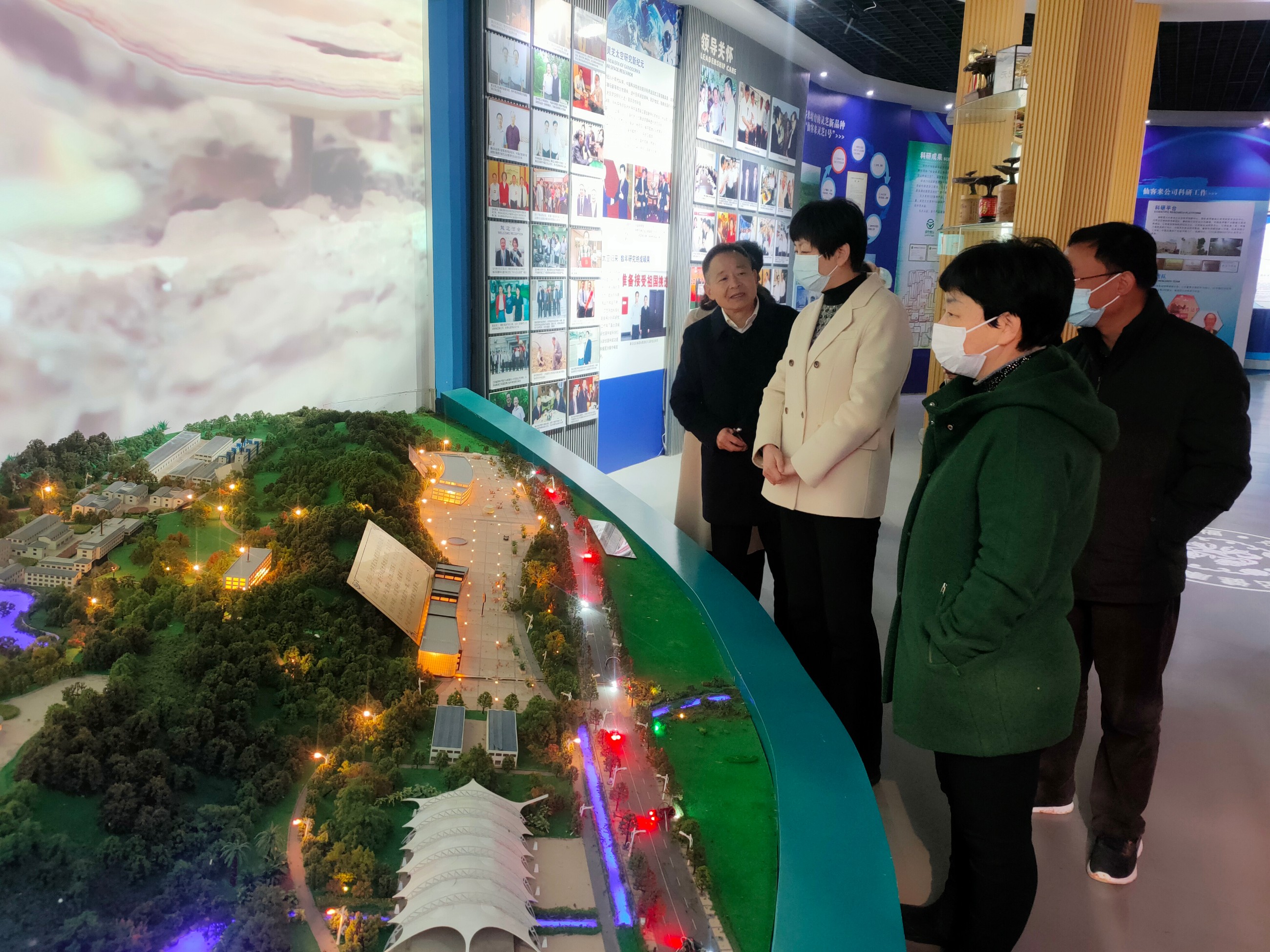 杭州亞運會官方靈芝產(chǎn)品供應(yīng)商|杭州亞運會官方供應(yīng)商|中國靈芝十大品牌|仙客來靈芝|仙客來靈芝破壁孢子粉|仙客來孢子油|仙客來靈芝飲片|仙客來破壁孢子粉|靈芝孢子油|孢子粉|靈芝破壁孢子粉|靈芝|中華老字號 杭州亞運會官方靈芝產(chǎn)品供應(yīng)商|杭州亞運會官方供應(yīng)商|中國靈芝十大品牌|仙客來靈芝|仙客來靈芝破壁孢子粉|仙客來孢子油|仙客來靈芝飲片|仙客來破壁孢子粉|靈芝孢子油|孢子粉|靈芝破壁孢子粉|靈芝|中華老字號