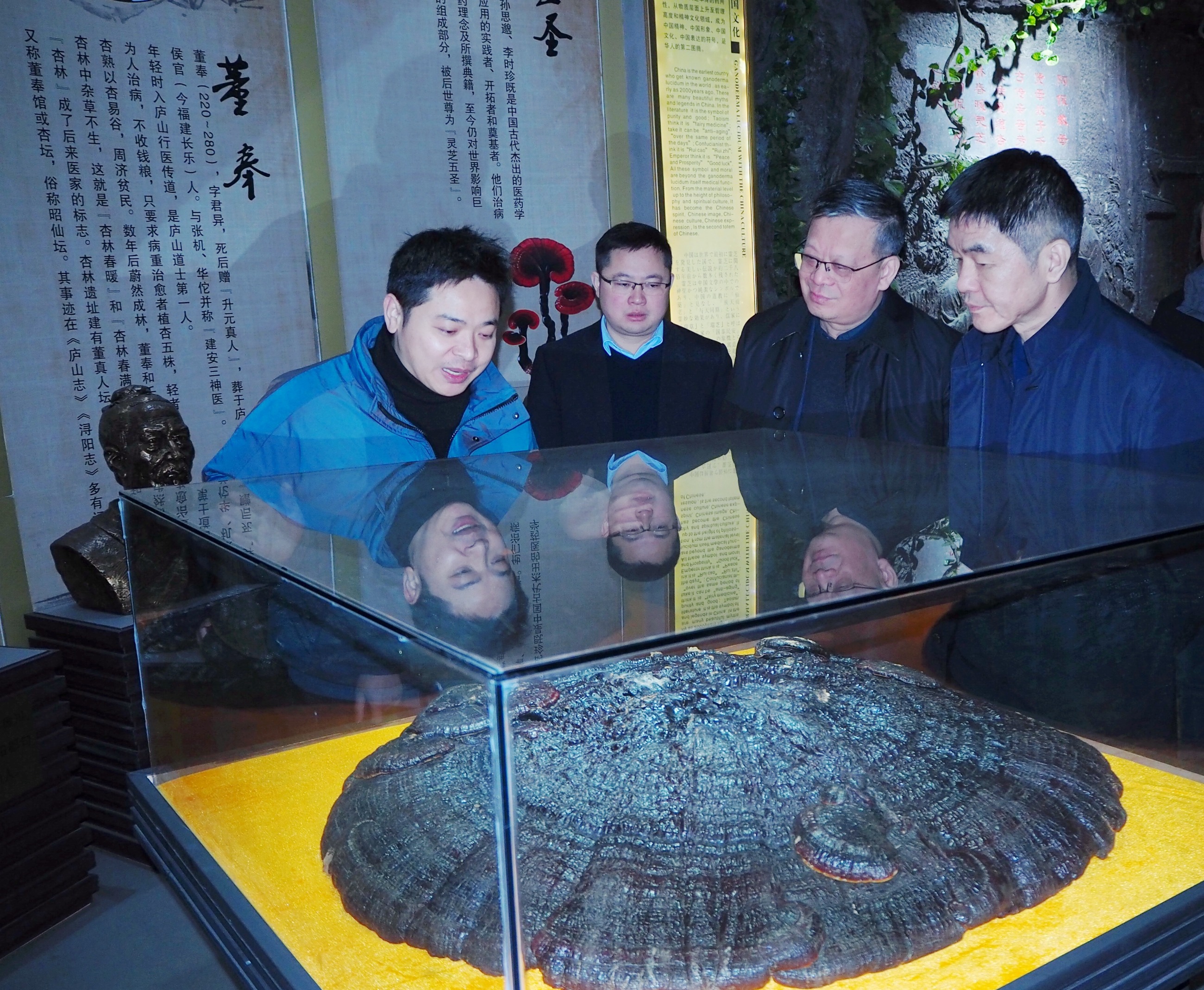 杭州亞運會官方靈芝產(chǎn)品供應(yīng)商|杭州亞運會官方供應(yīng)商|中國靈芝十大品牌|仙客來靈芝|仙客來靈芝破壁孢子粉|仙客來孢子油|仙客來靈芝飲片|仙客來破壁孢子粉|靈芝孢子油|孢子粉|靈芝破壁孢子粉|靈芝|中華老字號 杭州亞運會官方靈芝產(chǎn)品供應(yīng)商|杭州亞運會官方供應(yīng)商|中國靈芝十大品牌|仙客來靈芝|仙客來靈芝破壁孢子粉|仙客來孢子油|仙客來靈芝飲片|仙客來破壁孢子粉|靈芝孢子油|孢子粉|靈芝破壁孢子粉|靈芝|中華老字號