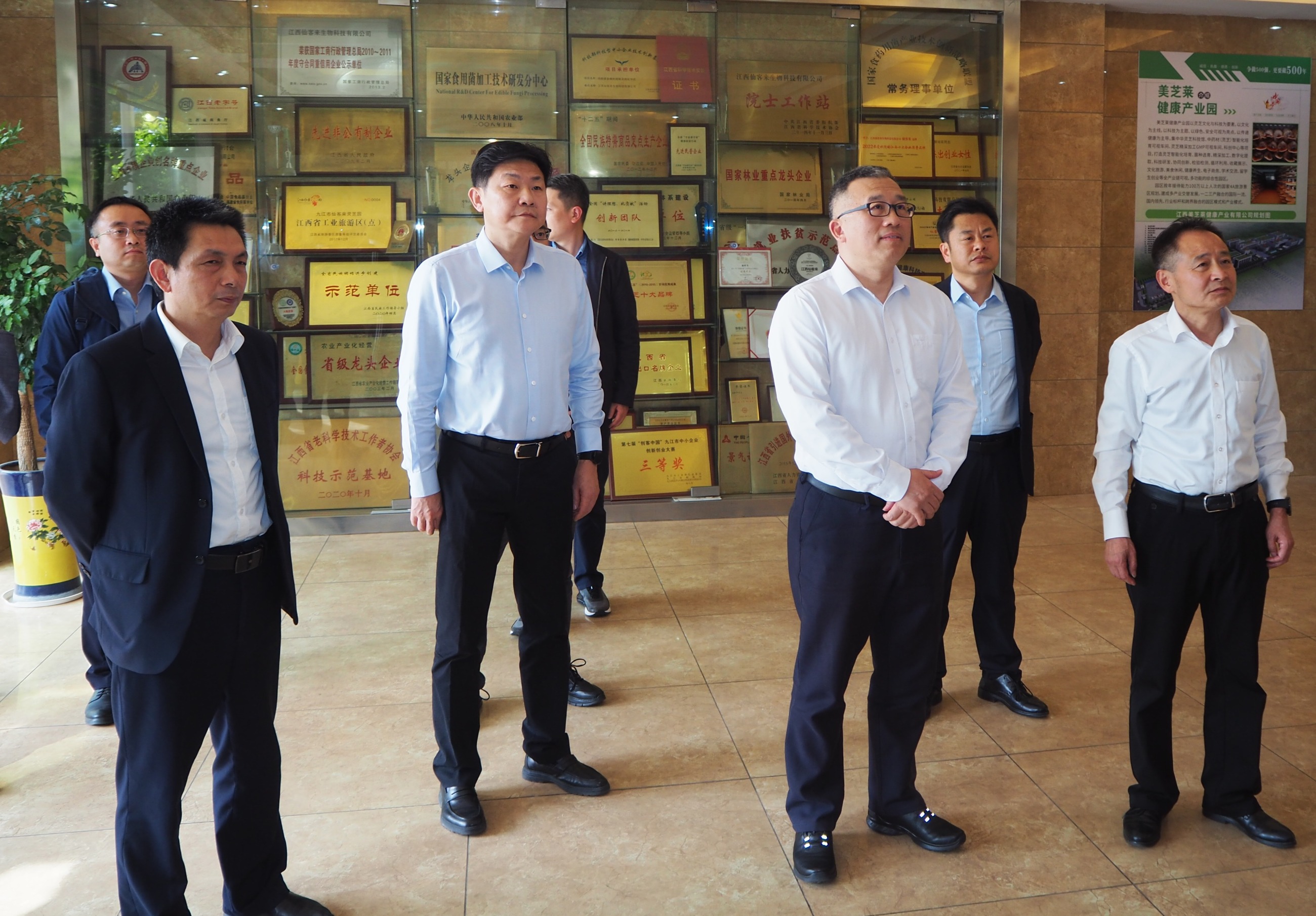 杭州亞運(yùn)會(huì)官方靈芝產(chǎn)品供應(yīng)商|杭州亞運(yùn)會(huì)官方供應(yīng)商|中國靈芝十大品牌|仙客來靈芝|仙客來靈芝破壁孢子粉|仙客來孢子油|仙客來靈芝飲片|仙客來破壁孢子粉|靈芝孢子油|孢子粉|靈芝破壁孢子粉|靈芝|中華老字號