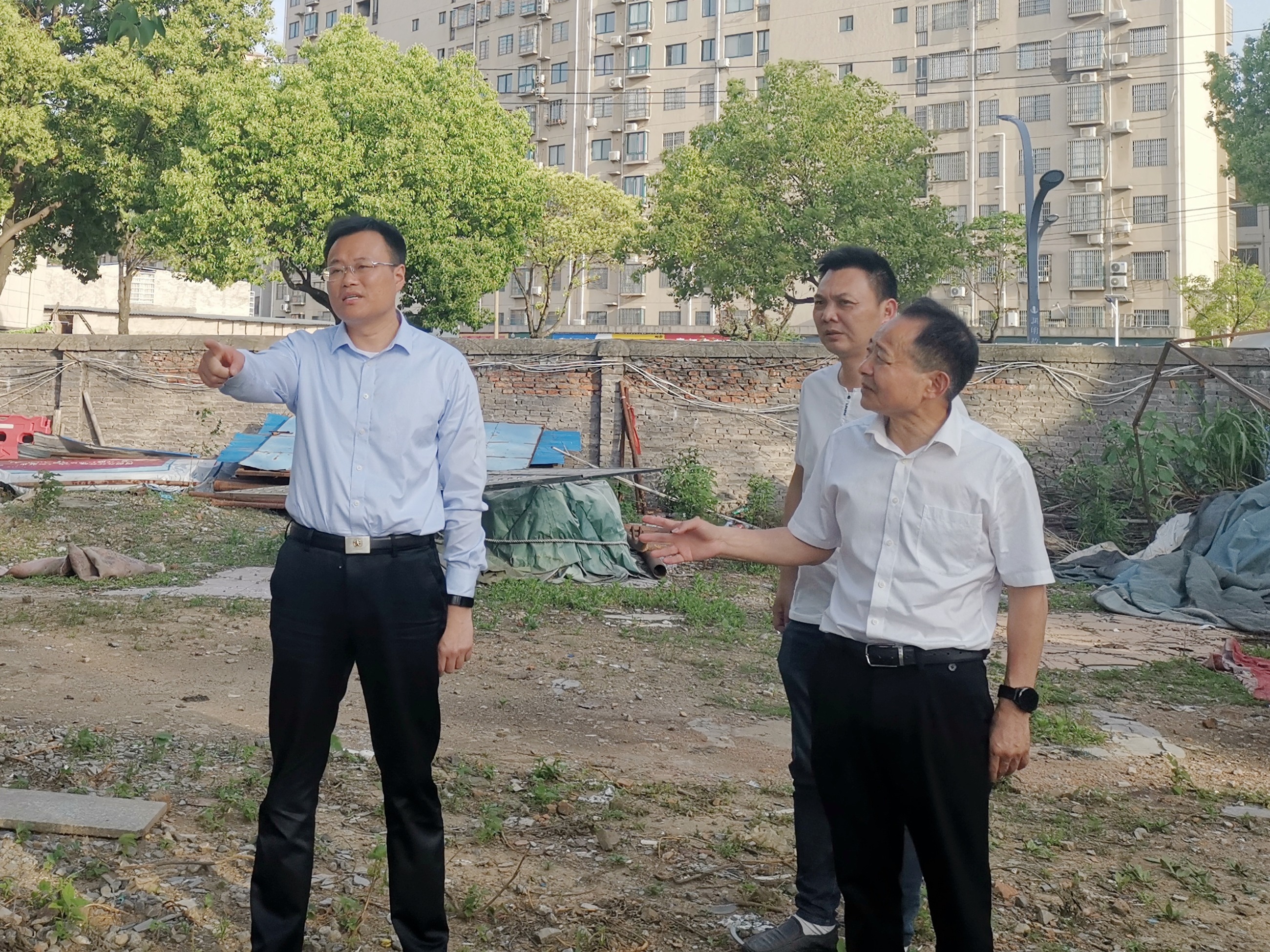 杭州亞運(yùn)會(huì)官方靈芝產(chǎn)品供應(yīng)商|杭州亞運(yùn)會(huì)官方供應(yīng)商|中國(guó)靈芝十大品牌|仙客來靈芝|仙客來靈芝破壁孢子粉|仙客來孢子油|仙客來靈芝飲片|仙客來破壁孢子粉|靈芝孢子油|孢子粉|靈芝破壁孢子粉|靈芝|中華老字號(hào)