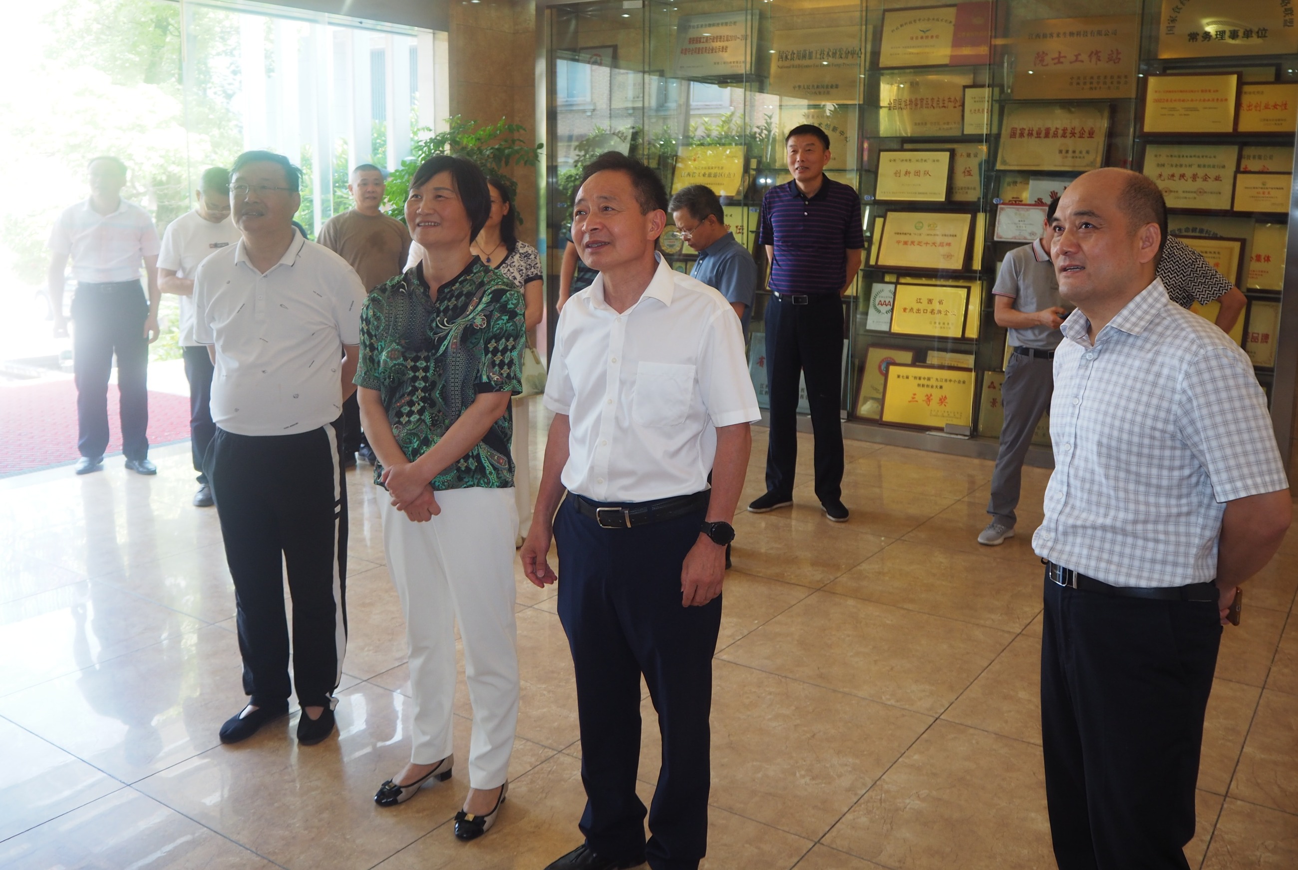 杭州亞運會官方靈芝產(chǎn)品供應商|杭州亞運會官方供應商|中國靈芝十大品牌|仙客來靈芝|仙客來靈芝破壁孢子粉|仙客來孢子油|仙客來靈芝飲片|仙客來破壁孢子粉|靈芝孢子油|孢子粉|靈芝破壁孢子粉|靈芝|中華老字號