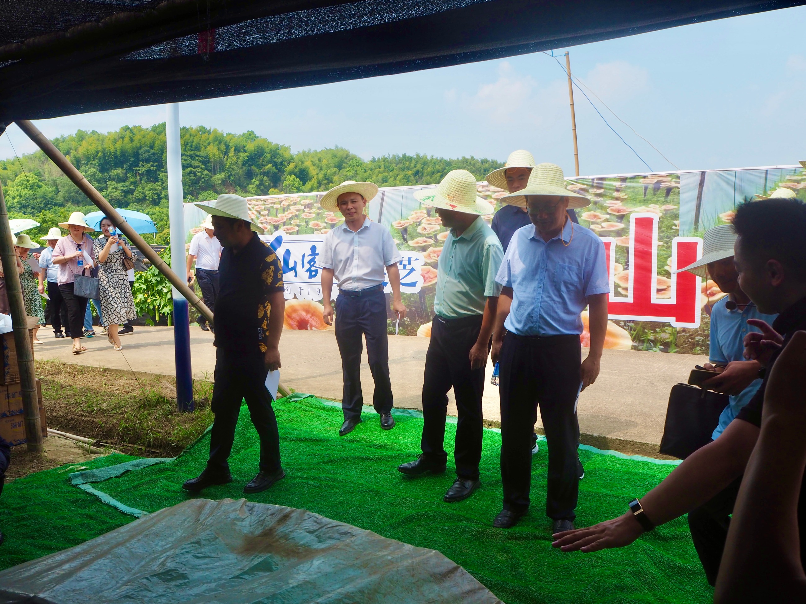 杭州亞運(yùn)會(huì)官方靈芝產(chǎn)品供應(yīng)商|杭州亞運(yùn)會(huì)官方供應(yīng)商|中國靈芝十大品牌|仙客來靈芝|仙客來靈芝破壁孢子粉|仙客來孢子油|仙客來靈芝飲片|仙客來破壁孢子粉|靈芝孢子油|孢子粉|靈芝破壁孢子粉|靈芝|中華老字號(hào) 杭州亞運(yùn)會(huì)官方靈芝產(chǎn)品供應(yīng)商|杭州亞運(yùn)會(huì)官方供應(yīng)商|中國靈芝十大品牌|仙客來靈芝|仙客來靈芝破壁孢子粉|仙客來孢子油|仙客來靈芝飲片|仙客來破壁孢子粉|靈芝孢子油|孢子粉|靈芝破壁孢子粉|靈芝|中華老字號(hào)
