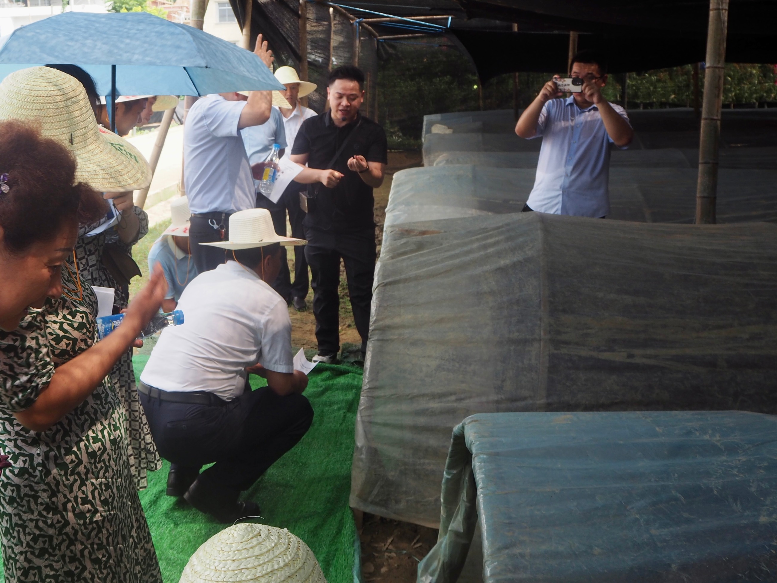 杭州亞運(yùn)會(huì)官方靈芝產(chǎn)品供應(yīng)商|杭州亞運(yùn)會(huì)官方供應(yīng)商|中國靈芝十大品牌|仙客來靈芝|仙客來靈芝破壁孢子粉|仙客來孢子油|仙客來靈芝飲片|仙客來破壁孢子粉|靈芝孢子油|孢子粉|靈芝破壁孢子粉|靈芝|中華老字號(hào) 杭州亞運(yùn)會(huì)官方靈芝產(chǎn)品供應(yīng)商|杭州亞運(yùn)會(huì)官方供應(yīng)商|中國靈芝十大品牌|仙客來靈芝|仙客來靈芝破壁孢子粉|仙客來孢子油|仙客來靈芝飲片|仙客來破壁孢子粉|靈芝孢子油|孢子粉|靈芝破壁孢子粉|靈芝|中華老字號(hào)