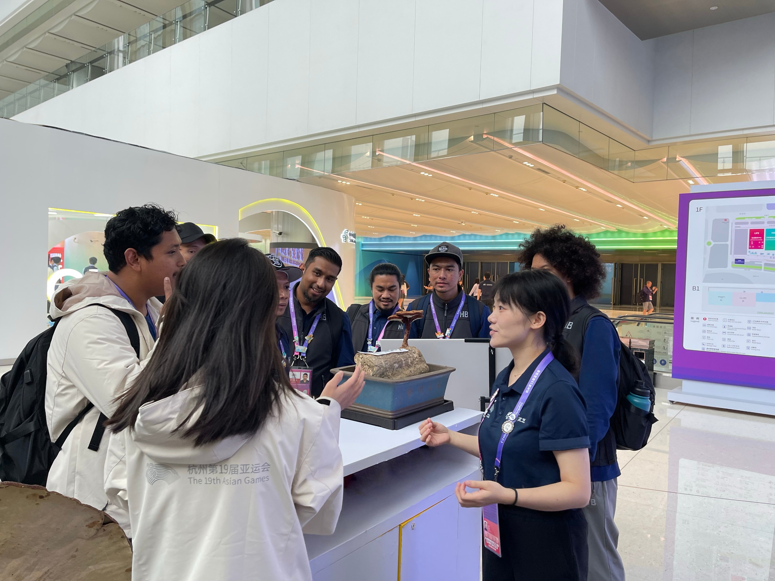 杭州亞運(yùn)會(huì)官方靈芝產(chǎn)品供應(yīng)商|杭州亞運(yùn)會(huì)官方供應(yīng)商|中國靈芝十大品牌|仙客來靈芝|仙客來靈芝破壁孢子粉|仙客來孢子油|仙客來靈芝飲片|仙客來破壁孢子粉|靈芝孢子油|孢子粉|靈芝破壁孢子粉|靈芝|中華老字號(hào)