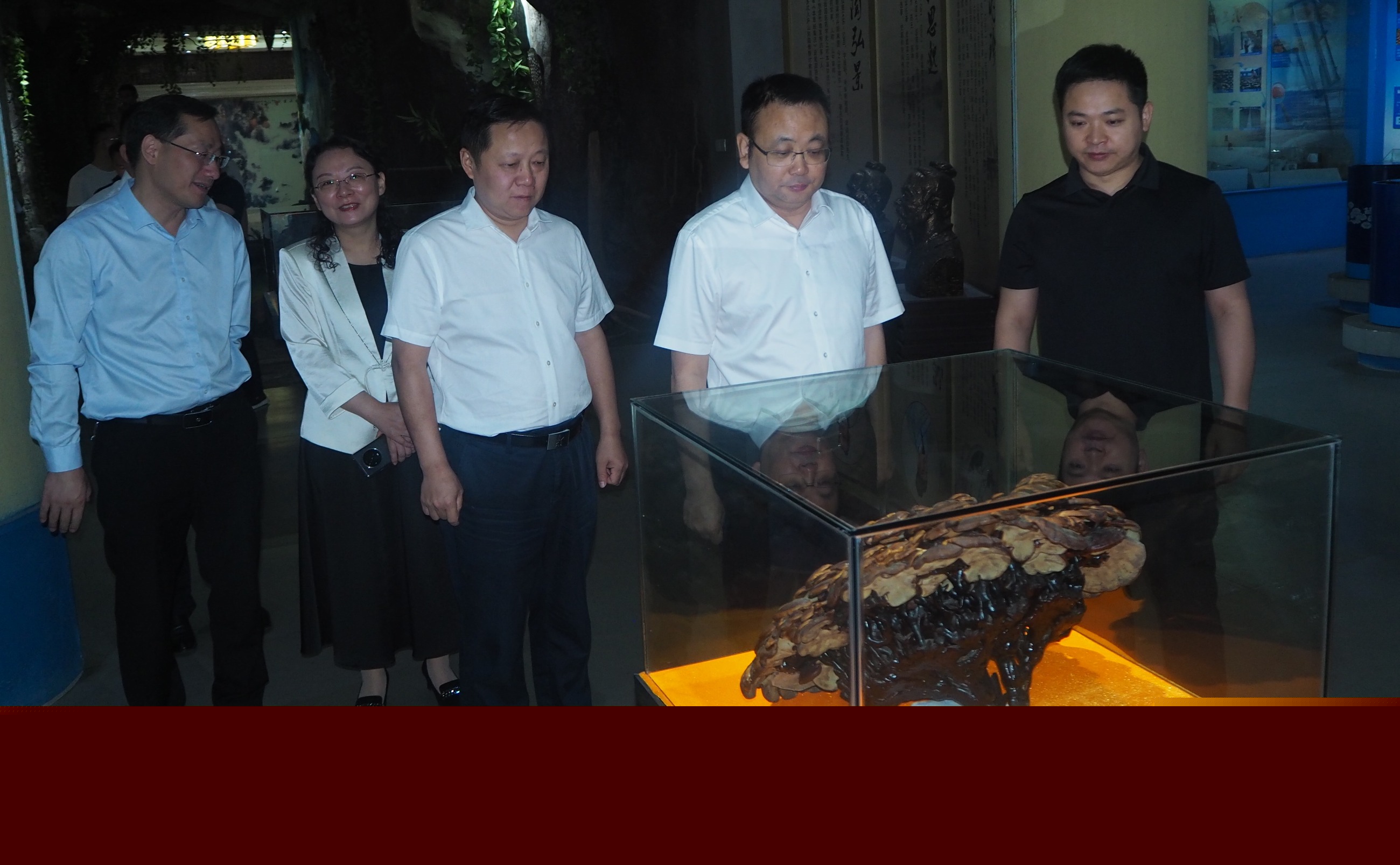 杭州亞運(yùn)會(huì)官方靈芝產(chǎn)品供應(yīng)商|杭州亞運(yùn)會(huì)官方供應(yīng)商|中國(guó)靈芝十大品牌|仙客來(lái)靈芝|仙客來(lái)靈芝破壁孢子粉|仙客來(lái)孢子油|仙客來(lái)靈芝飲片|仙客來(lái)破壁孢子粉|靈芝孢子油|孢子粉|靈芝破壁孢子粉|靈芝|中華老字號(hào) 杭州亞運(yùn)會(huì)官方靈芝產(chǎn)品供應(yīng)商|杭州亞運(yùn)會(huì)官方供應(yīng)商|中國(guó)靈芝十大品牌|仙客來(lái)靈芝|仙客來(lái)靈芝破壁孢子粉|仙客來(lái)孢子油|仙客來(lái)靈芝飲片|仙客來(lái)破壁孢子粉|靈芝孢子油|孢子粉|靈芝破壁孢子粉|靈芝|中華老字號(hào)