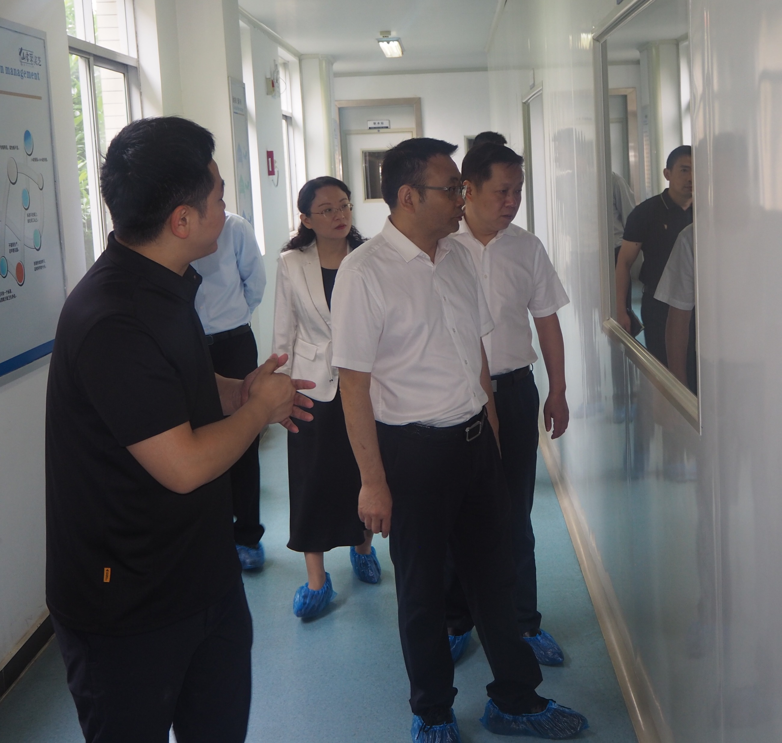 杭州亞運(yùn)會(huì)官方靈芝產(chǎn)品供應(yīng)商|杭州亞運(yùn)會(huì)官方供應(yīng)商|中國(guó)靈芝十大品牌|仙客來(lái)靈芝|仙客來(lái)靈芝破壁孢子粉|仙客來(lái)孢子油|仙客來(lái)靈芝飲片|仙客來(lái)破壁孢子粉|靈芝孢子油|孢子粉|靈芝破壁孢子粉|靈芝|中華老字號(hào) 杭州亞運(yùn)會(huì)官方靈芝產(chǎn)品供應(yīng)商|杭州亞運(yùn)會(huì)官方供應(yīng)商|中國(guó)靈芝十大品牌|仙客來(lái)靈芝|仙客來(lái)靈芝破壁孢子粉|仙客來(lái)孢子油|仙客來(lái)靈芝飲片|仙客來(lái)破壁孢子粉|靈芝孢子油|孢子粉|靈芝破壁孢子粉|靈芝|中華老字號(hào)