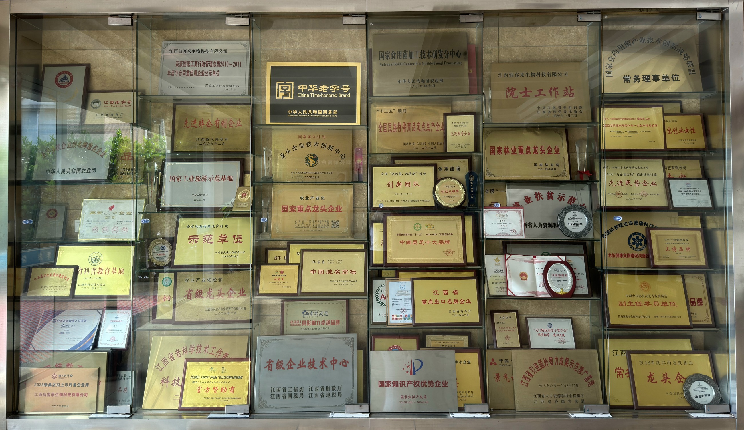 杭州亞運會官方靈芝產(chǎn)品供應(yīng)商|杭州亞運會官方供應(yīng)商|中國靈芝十大品牌|仙客來靈芝|仙客來靈芝破壁孢子粉|仙客來孢子油|仙客來靈芝飲片|仙客來破壁孢子粉|靈芝孢子油|孢子粉|靈芝破壁孢子粉|靈芝|中華老字號 杭州亞運會官方靈芝產(chǎn)品供應(yīng)商|杭州亞運會官方供應(yīng)商|中國靈芝十大品牌|仙客來靈芝|仙客來靈芝破壁孢子粉|仙客來孢子油|仙客來靈芝飲片|仙客來破壁孢子粉|靈芝孢子油|孢子粉|靈芝破壁孢子粉|靈芝|中華老字號