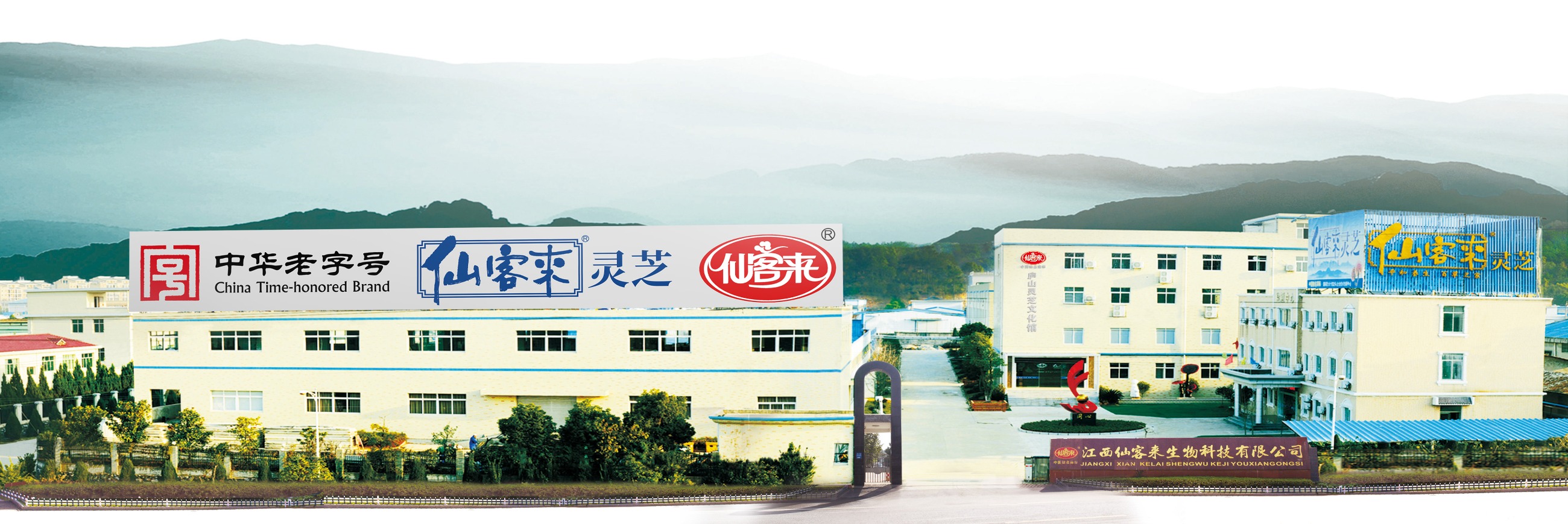杭州亞運(yùn)會官方靈芝產(chǎn)品供應(yīng)商|杭州亞運(yùn)會官方供應(yīng)商|中國靈芝十大品牌|仙客來靈芝|仙客來靈芝破壁孢子粉|仙客來孢子油|仙客來靈芝飲片|仙客來破壁孢子粉|靈芝孢子油|孢子粉|靈芝破壁孢子粉|靈芝|中華老字號