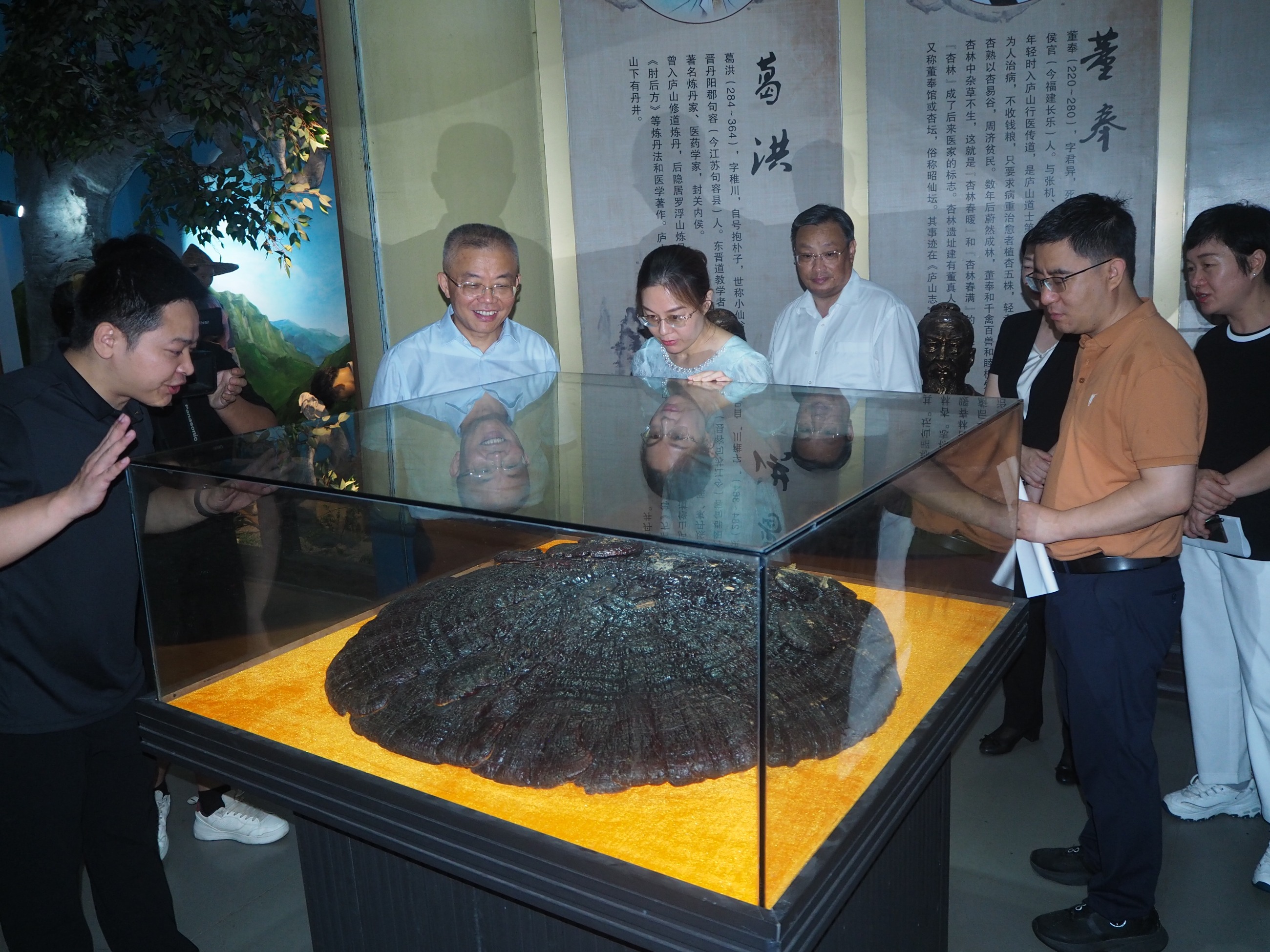 杭州亞運(yùn)會(huì)官方靈芝產(chǎn)品供應(yīng)商|杭州亞運(yùn)會(huì)官方供應(yīng)商|中國靈芝十大品牌|仙客來靈芝|仙客來靈芝破壁孢子粉|仙客來孢子油|仙客來靈芝飲片|仙客來破壁孢子粉|靈芝孢子油|孢子粉|靈芝破壁孢子粉|靈芝|中華老字號(hào) 杭州亞運(yùn)會(huì)官方靈芝產(chǎn)品供應(yīng)商|杭州亞運(yùn)會(huì)官方供應(yīng)商|中國靈芝十大品牌|仙客來靈芝|仙客來靈芝破壁孢子粉|仙客來孢子油|仙客來靈芝飲片|仙客來破壁孢子粉|靈芝孢子油|孢子粉|靈芝破壁孢子粉|靈芝|中華老字號(hào)