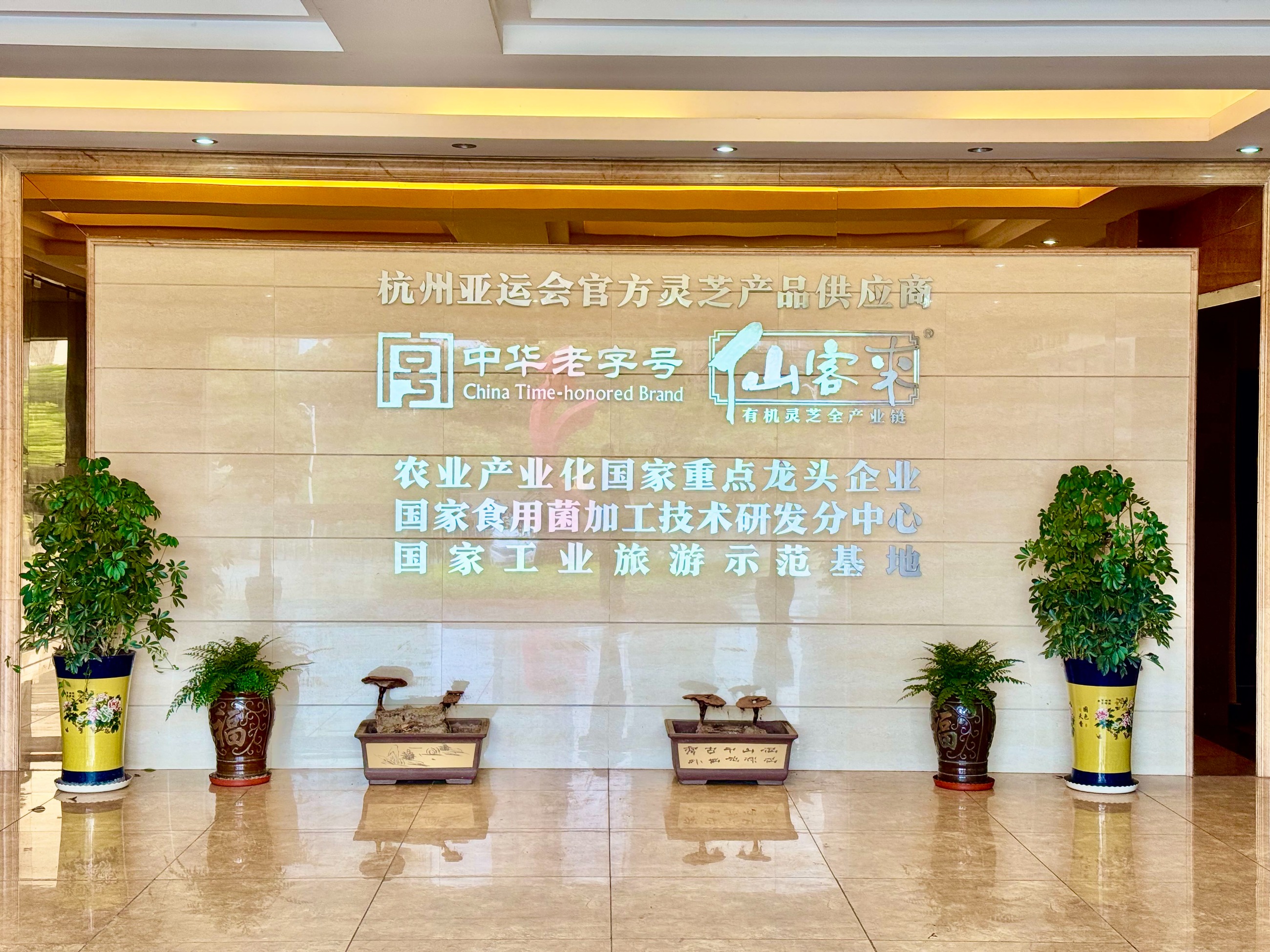 杭州亞運(yùn)會(huì)官方靈芝產(chǎn)品供應(yīng)商|杭州亞運(yùn)會(huì)官方供應(yīng)商|中國靈芝十大品牌|仙客來靈芝|仙客來靈芝破壁孢子粉|仙客來孢子油|仙客來靈芝飲片|仙客來破壁孢子粉|靈芝孢子油|孢子粉|靈芝破壁孢子粉|靈芝|中華老字號(hào)