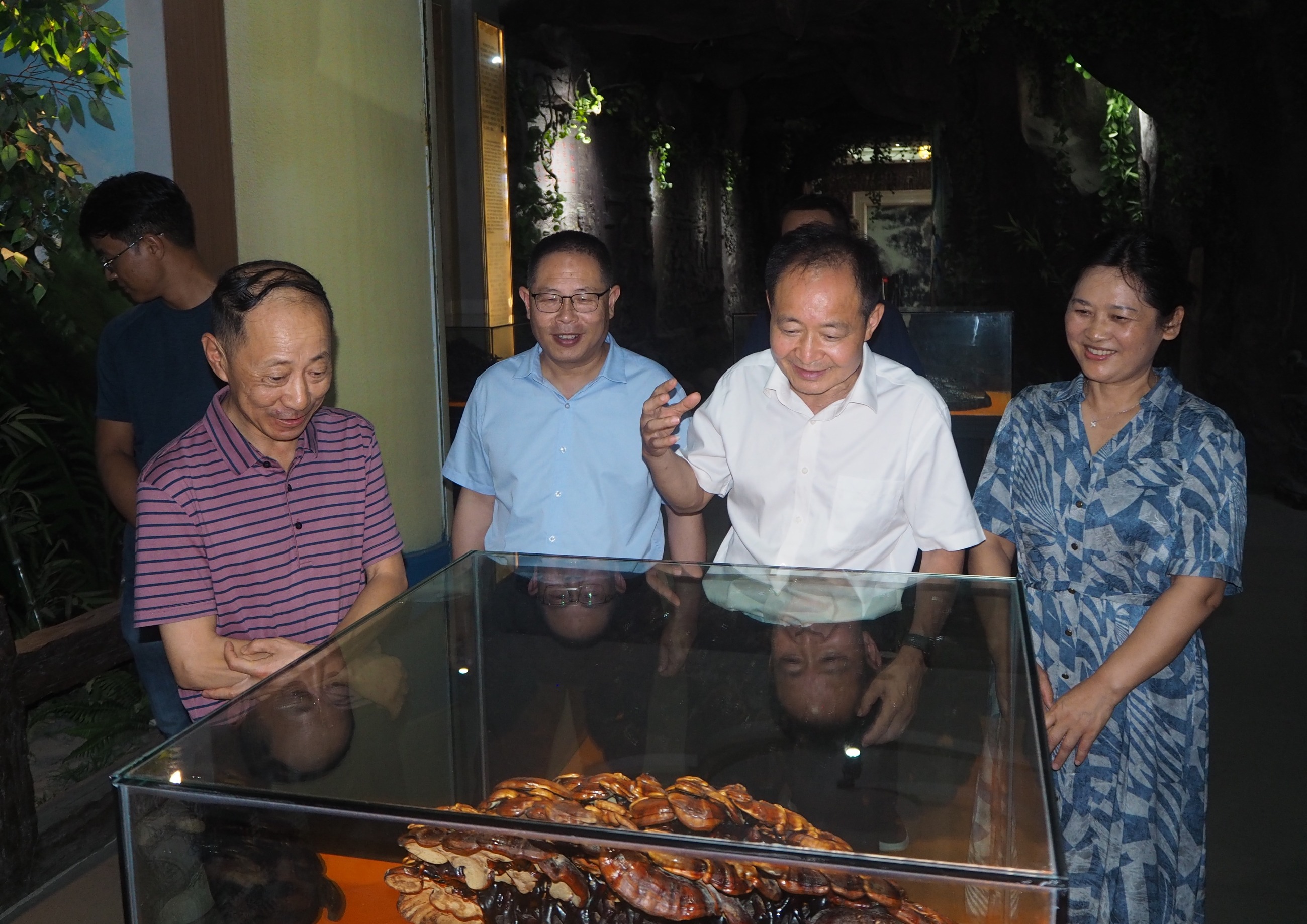 杭州亞運會官方靈芝產(chǎn)品供應(yīng)商|杭州亞運會官方供應(yīng)商|中國靈芝十大品牌|仙客來靈芝|仙客來靈芝破壁孢子粉|仙客來孢子油|仙客來靈芝飲片|仙客來破壁孢子粉|靈芝孢子油|孢子粉|靈芝破壁孢子粉|靈芝|中華老字號 杭州亞運會官方靈芝產(chǎn)品供應(yīng)商|杭州亞運會官方供應(yīng)商|中國靈芝十大品牌|仙客來靈芝|仙客來靈芝破壁孢子粉|仙客來孢子油|仙客來靈芝飲片|仙客來破壁孢子粉|靈芝孢子油|孢子粉|靈芝破壁孢子粉|靈芝|中華老字號