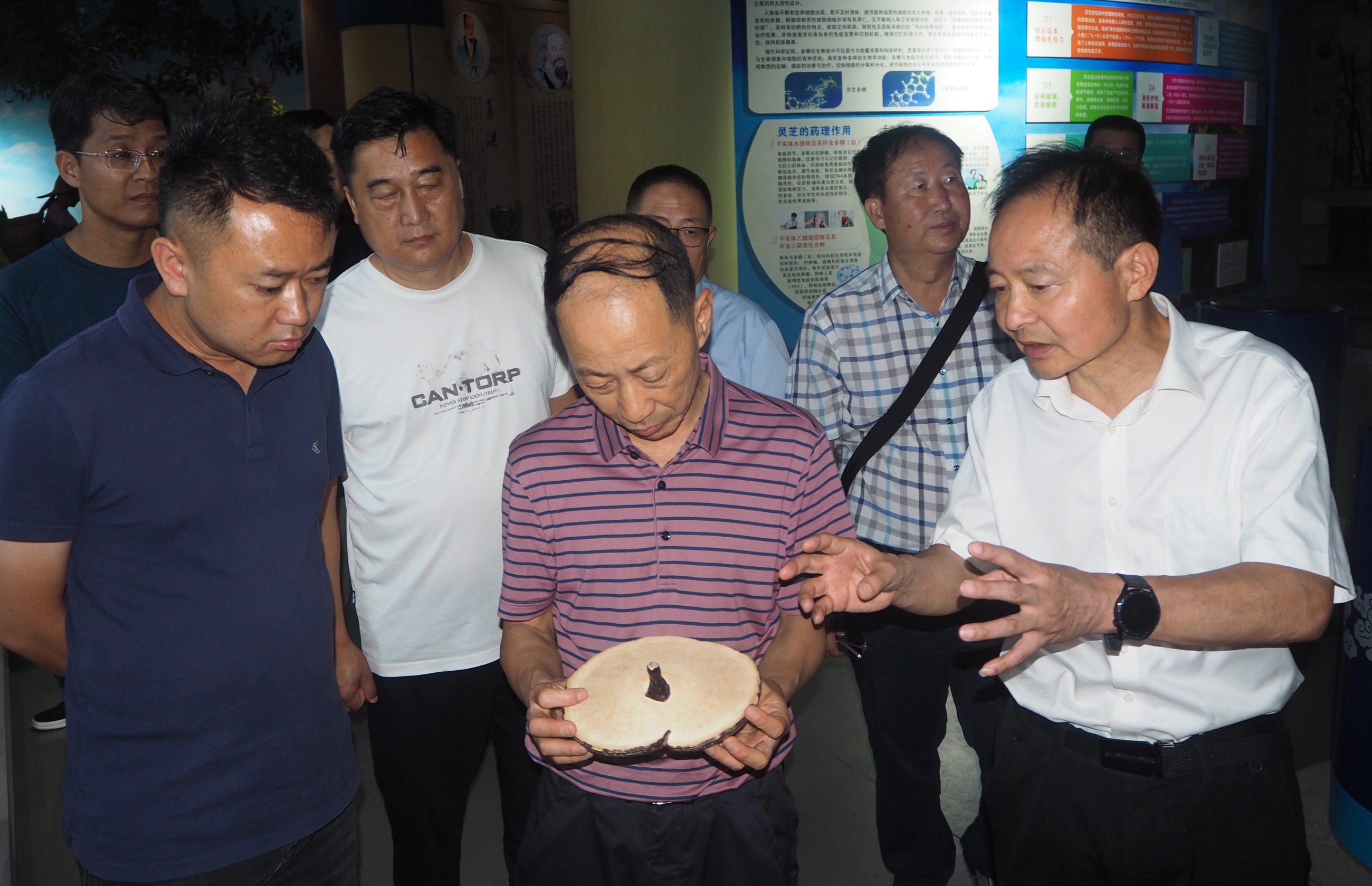 杭州亞運會官方靈芝產(chǎn)品供應(yīng)商|杭州亞運會官方供應(yīng)商|中國靈芝十大品牌|仙客來靈芝|仙客來靈芝破壁孢子粉|仙客來孢子油|仙客來靈芝飲片|仙客來破壁孢子粉|靈芝孢子油|孢子粉|靈芝破壁孢子粉|靈芝|中華老字號 杭州亞運會官方靈芝產(chǎn)品供應(yīng)商|杭州亞運會官方供應(yīng)商|中國靈芝十大品牌|仙客來靈芝|仙客來靈芝破壁孢子粉|仙客來孢子油|仙客來靈芝飲片|仙客來破壁孢子粉|靈芝孢子油|孢子粉|靈芝破壁孢子粉|靈芝|中華老字號