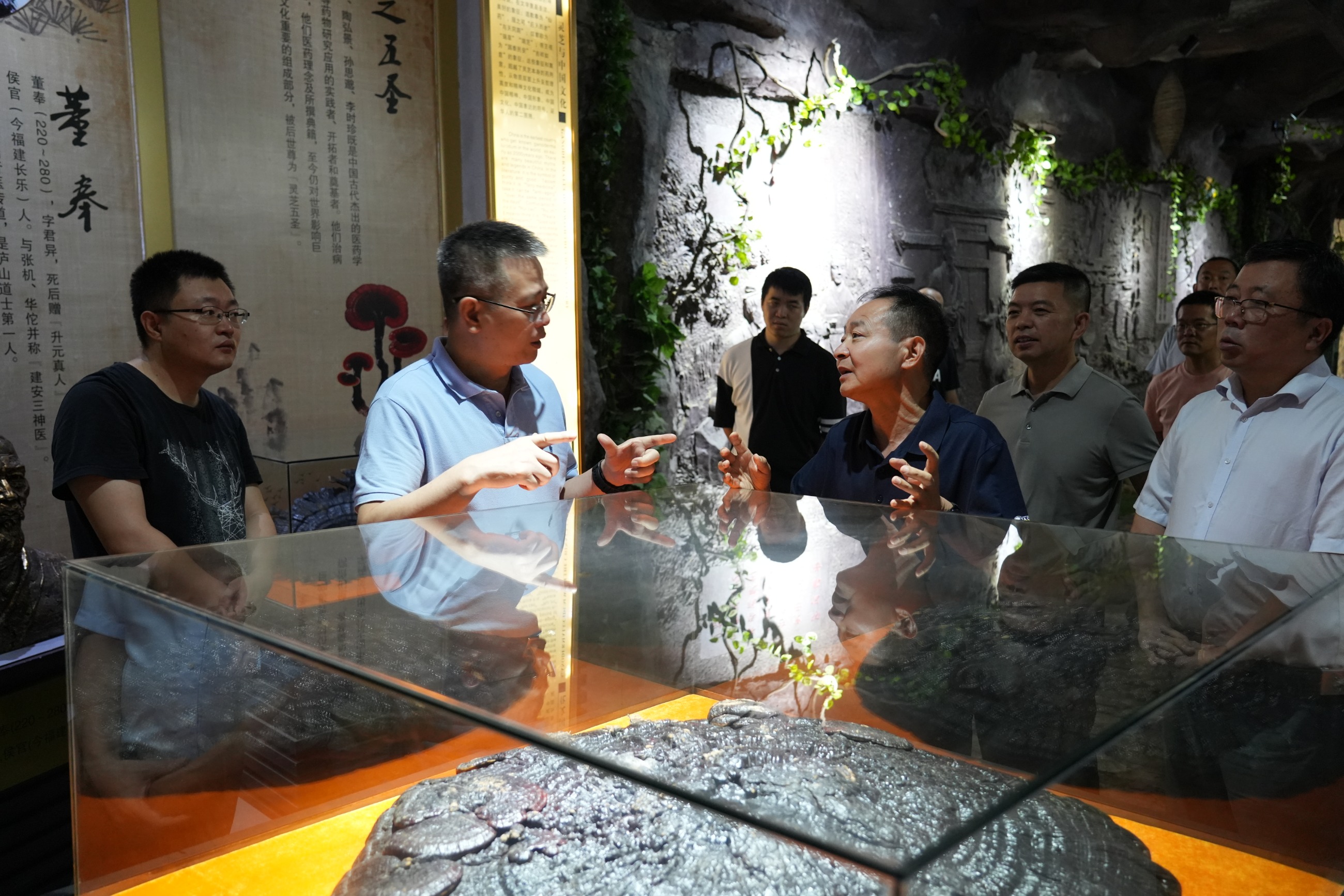 杭州亞運會官方靈芝產(chǎn)品供應商|杭州亞運會官方供應商|中國靈芝十大品牌|仙客來靈芝|仙客來靈芝破壁孢子粉|仙客來孢子油|仙客來靈芝飲片|仙客來破壁孢子粉|靈芝孢子油|孢子粉|靈芝破壁孢子粉|靈芝|中華老字號